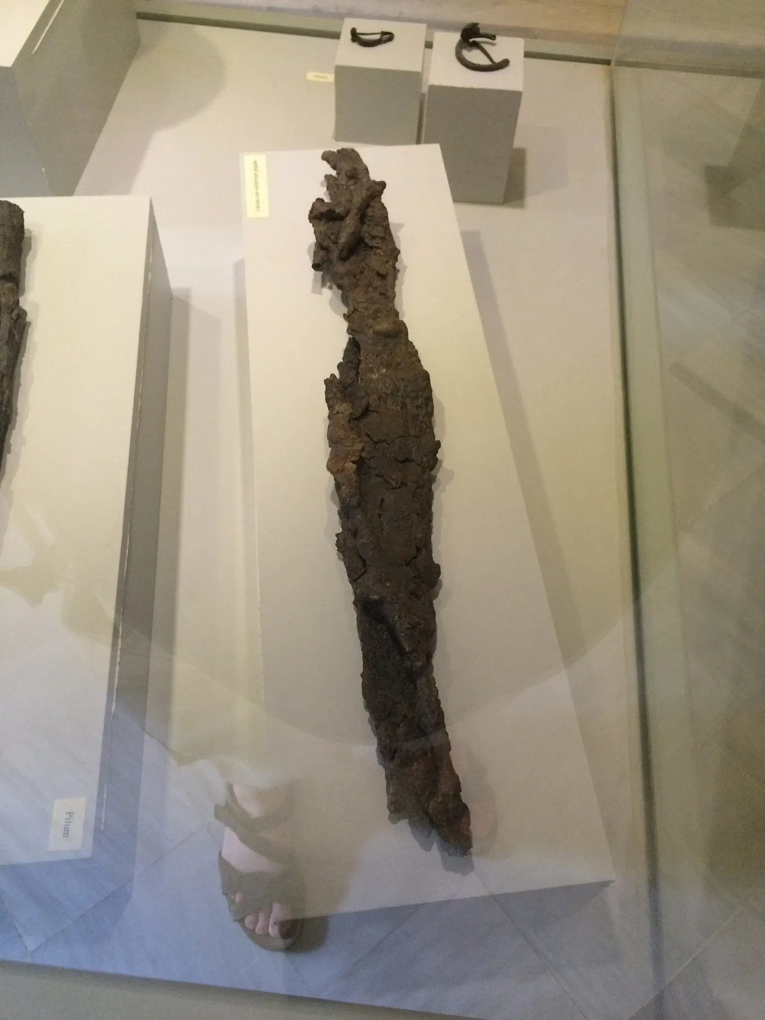 Museo Arqueológico de Galera