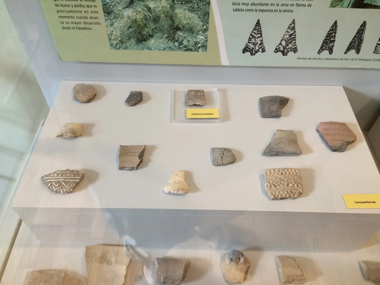 Museo Arqueológico de Galera