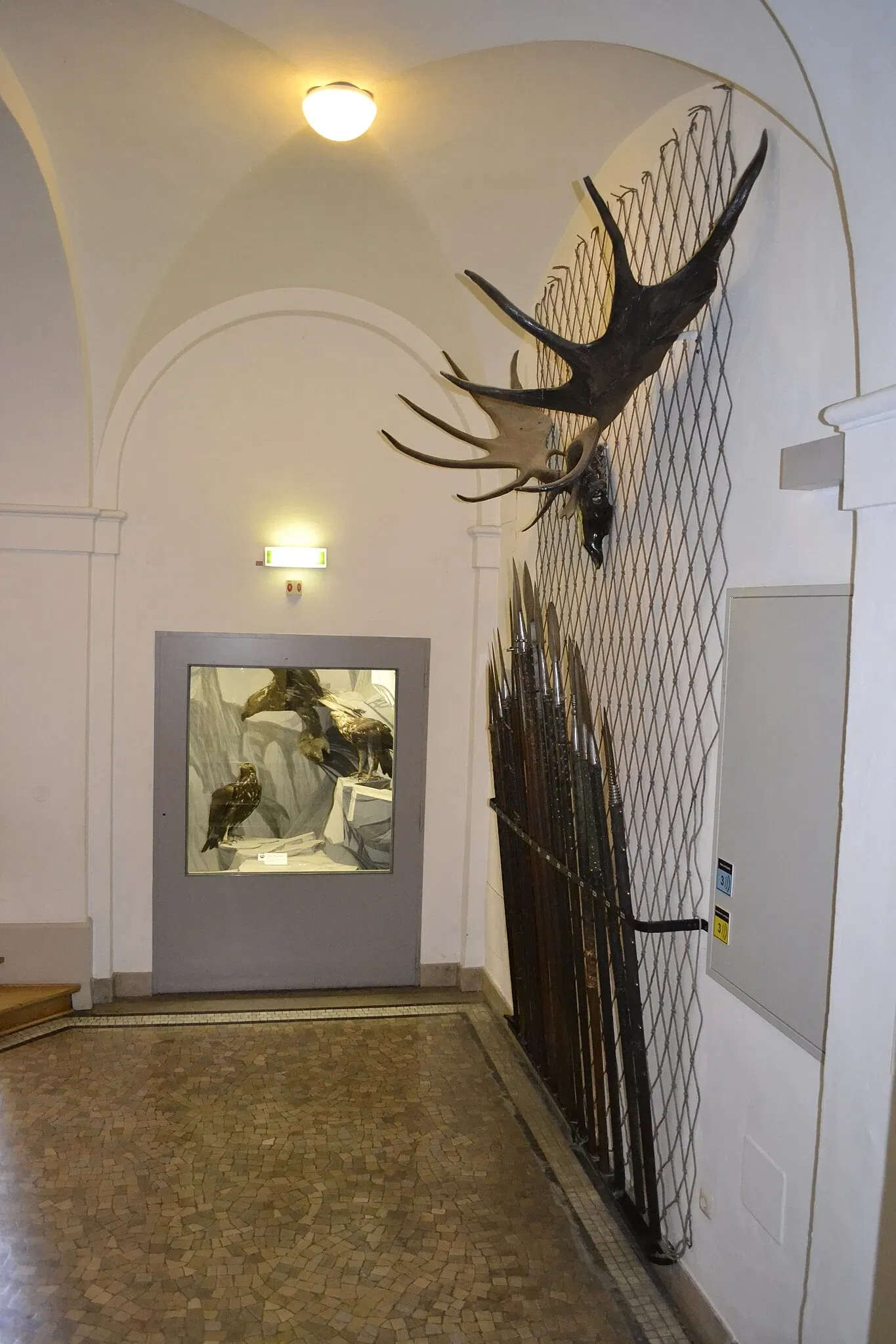 Musée de la chasse et de la pêche