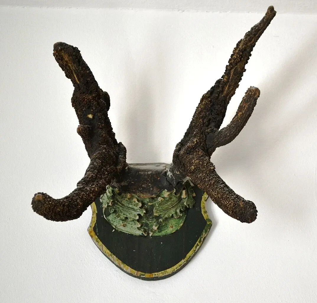 German Hunting and Fishing Museum