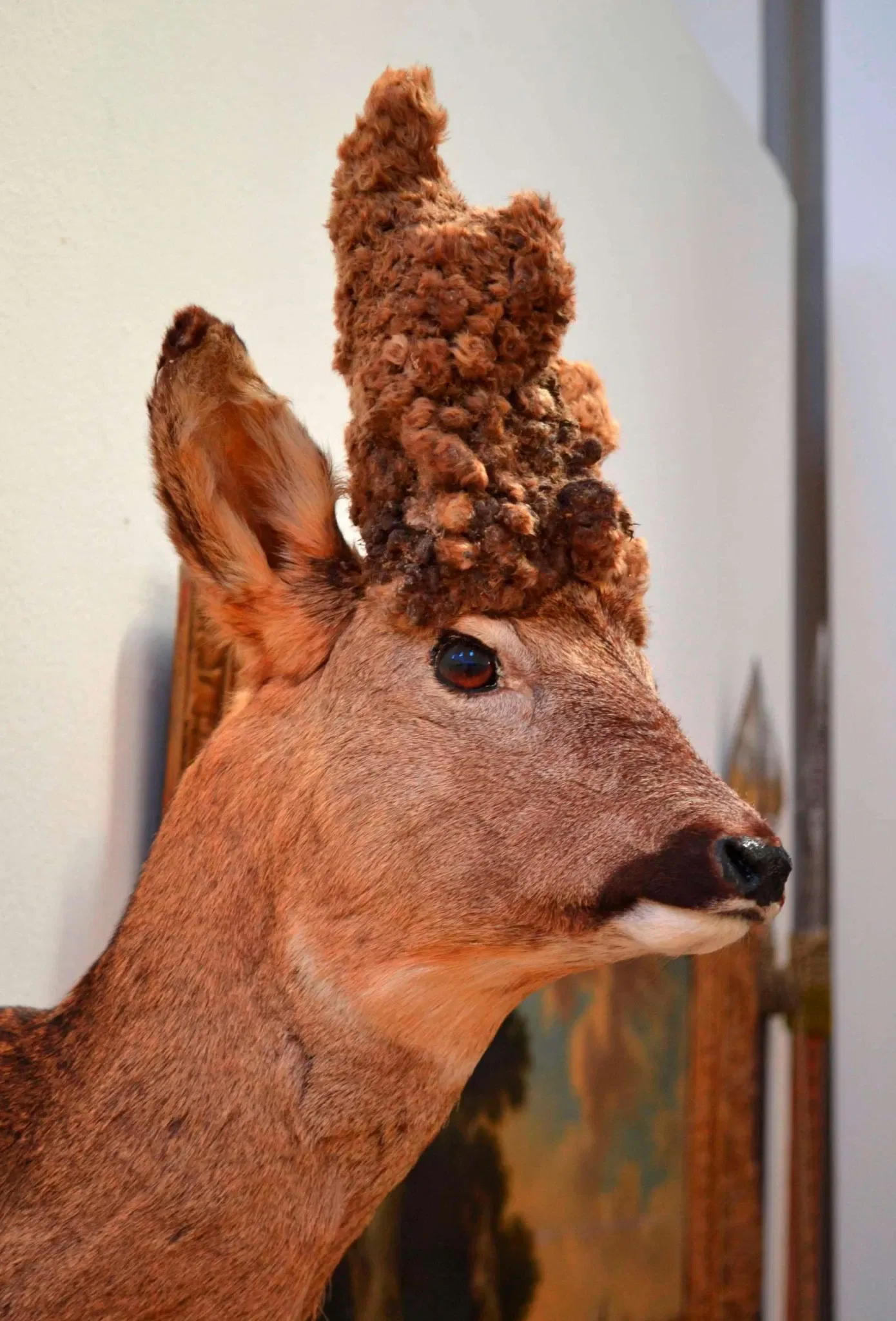 Musée de la chasse et de la pêche