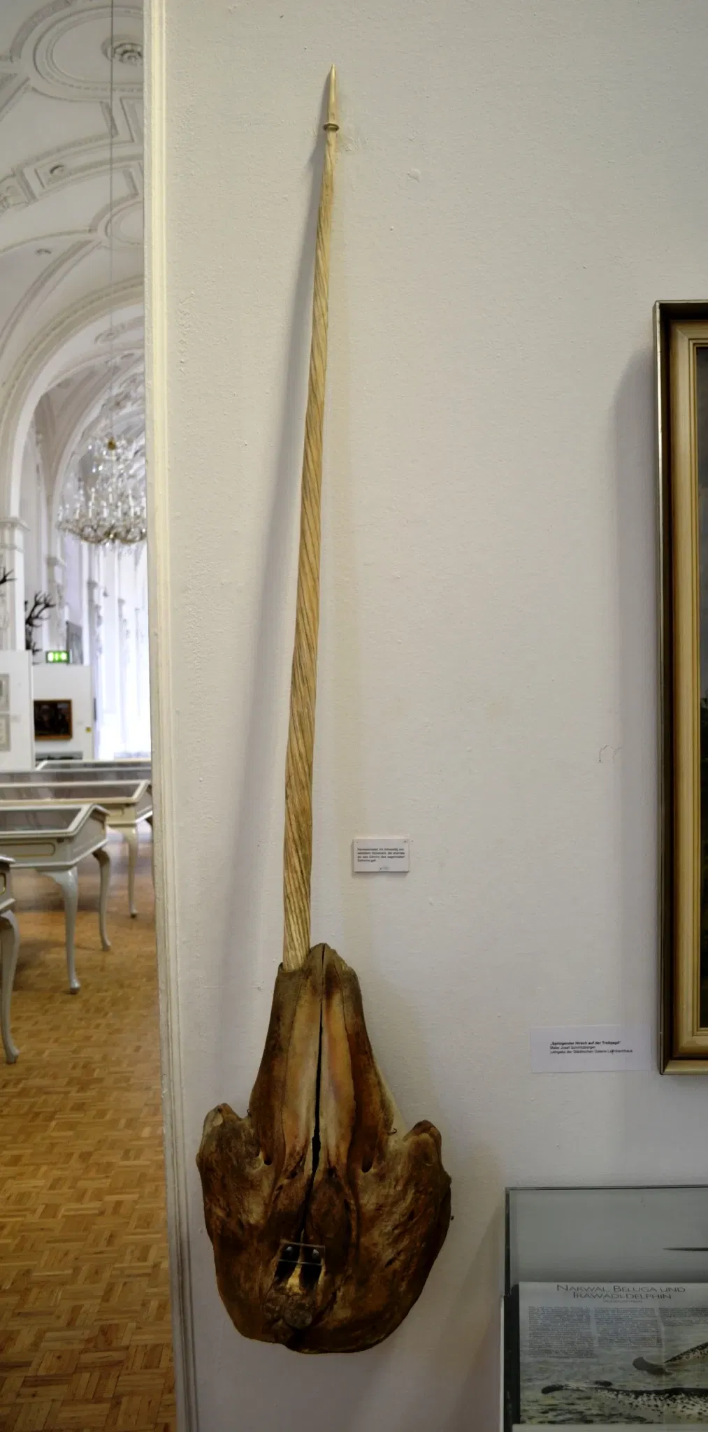 Musée de la chasse et de la pêche