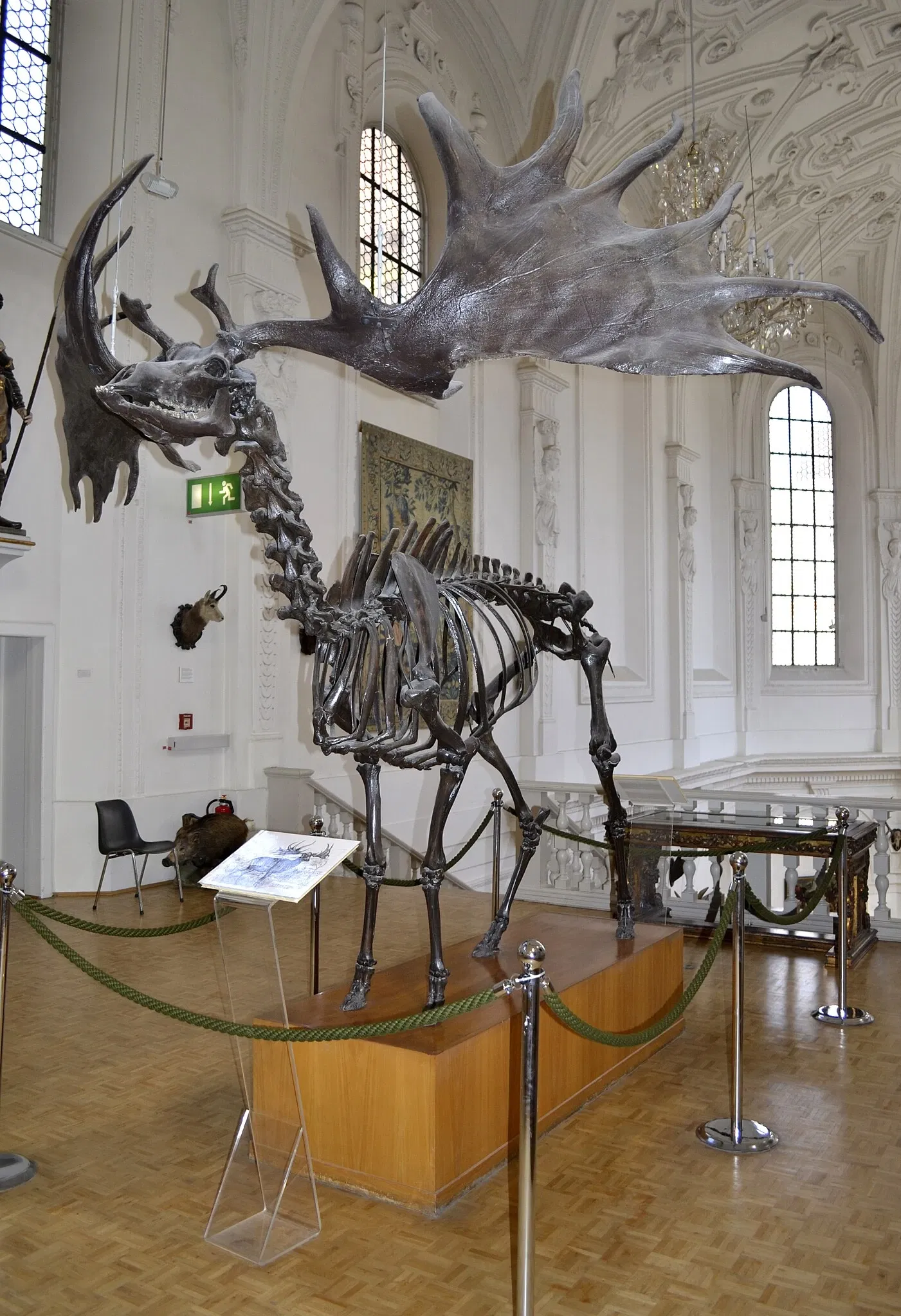 German Hunting and Fishing Museum