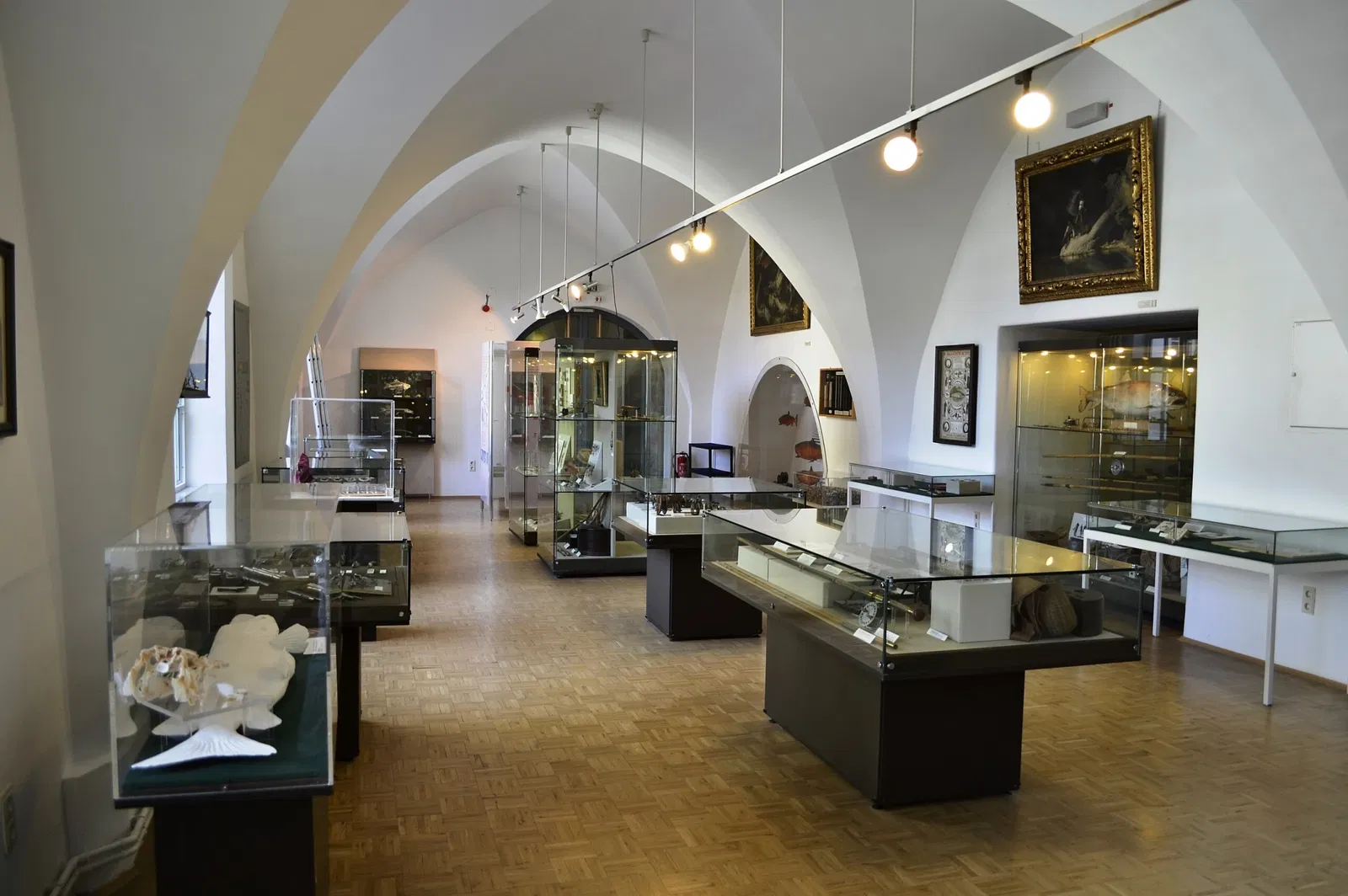 Fischereimuseum unterer Aischgrund