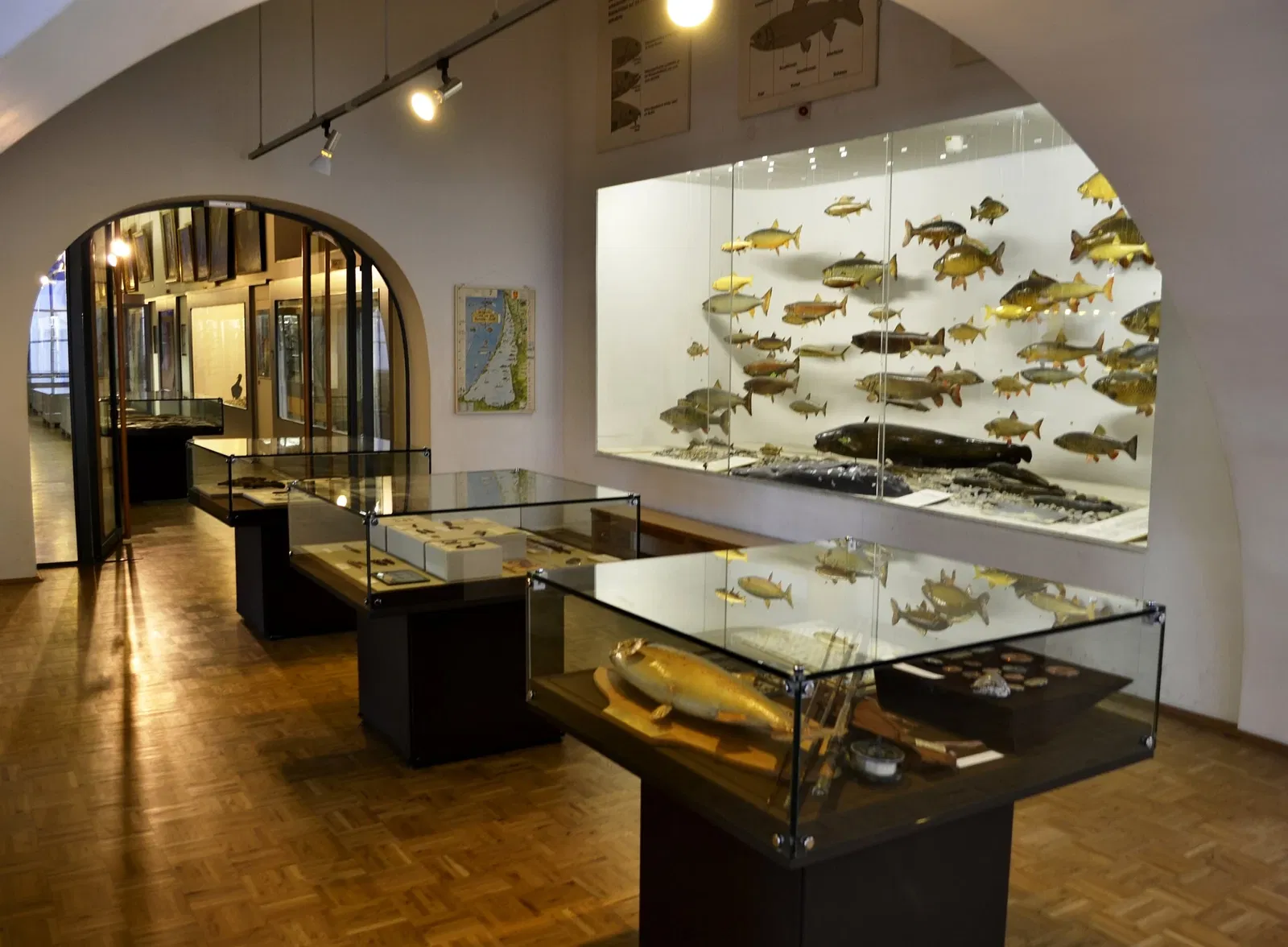 Musée de la chasse et de la pêche