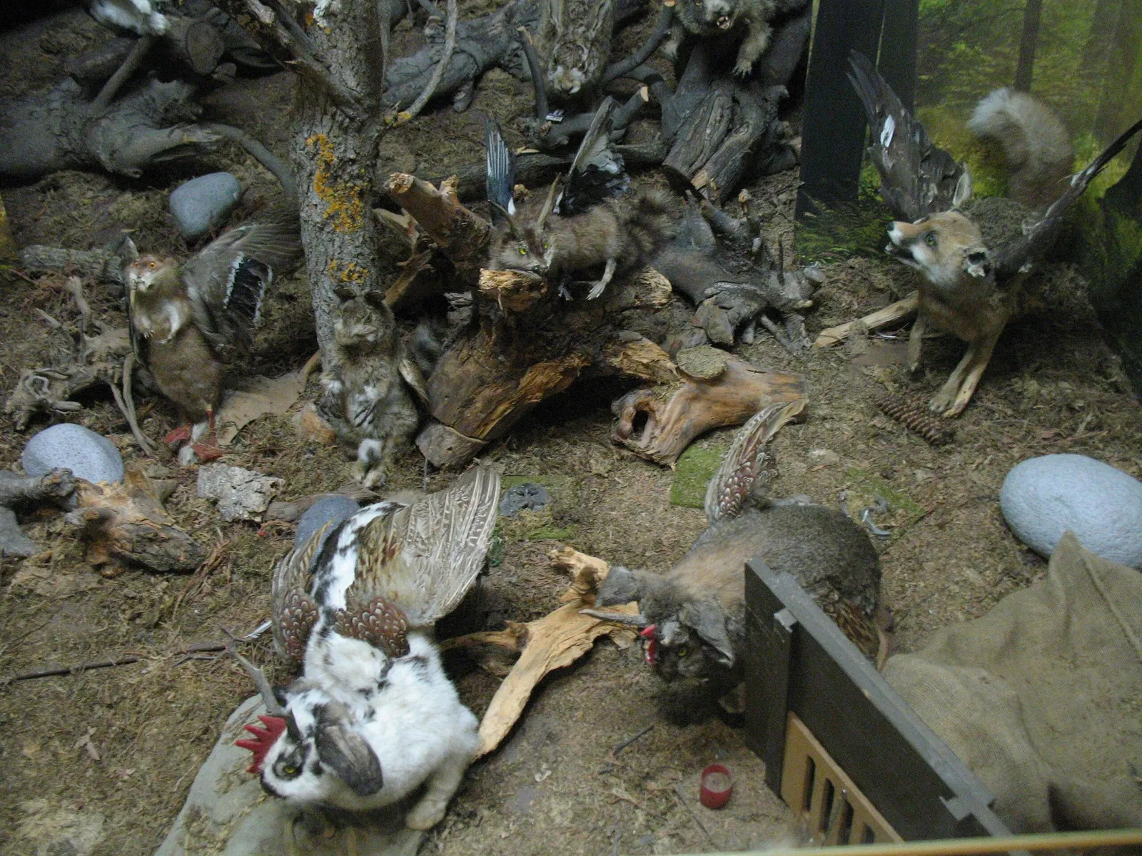 Musée de la chasse et de la pêche