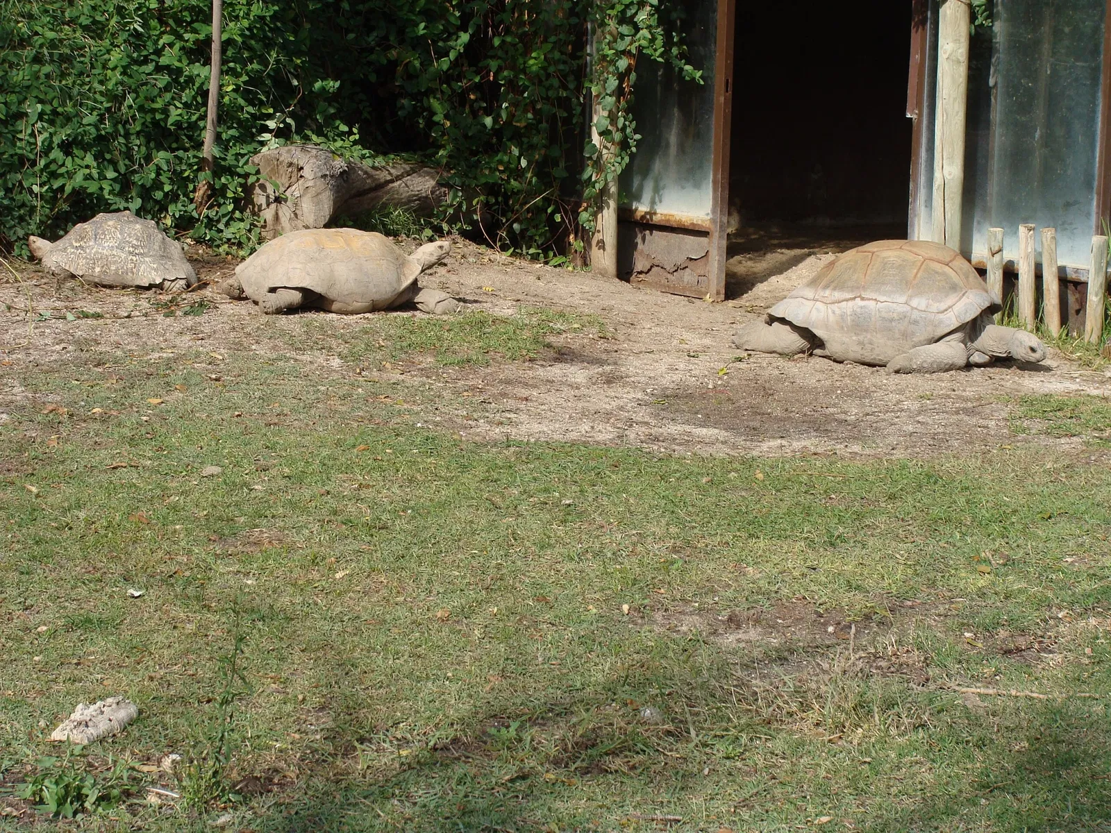 Parco zoologico di Madrid