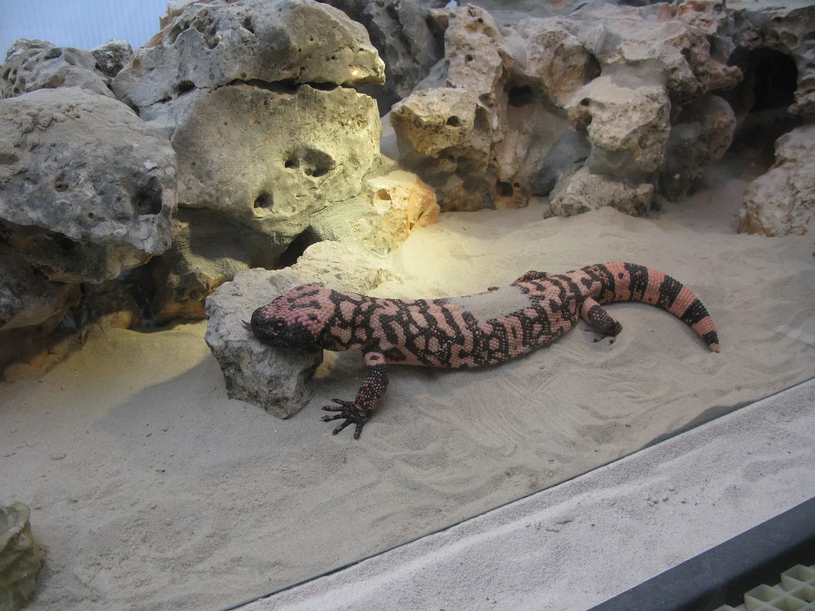 Zoo Aquarium de Madrid