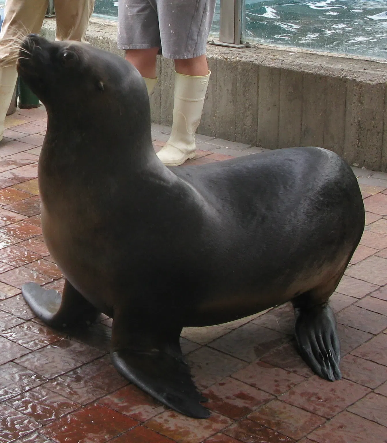 Parco zoologico di Madrid