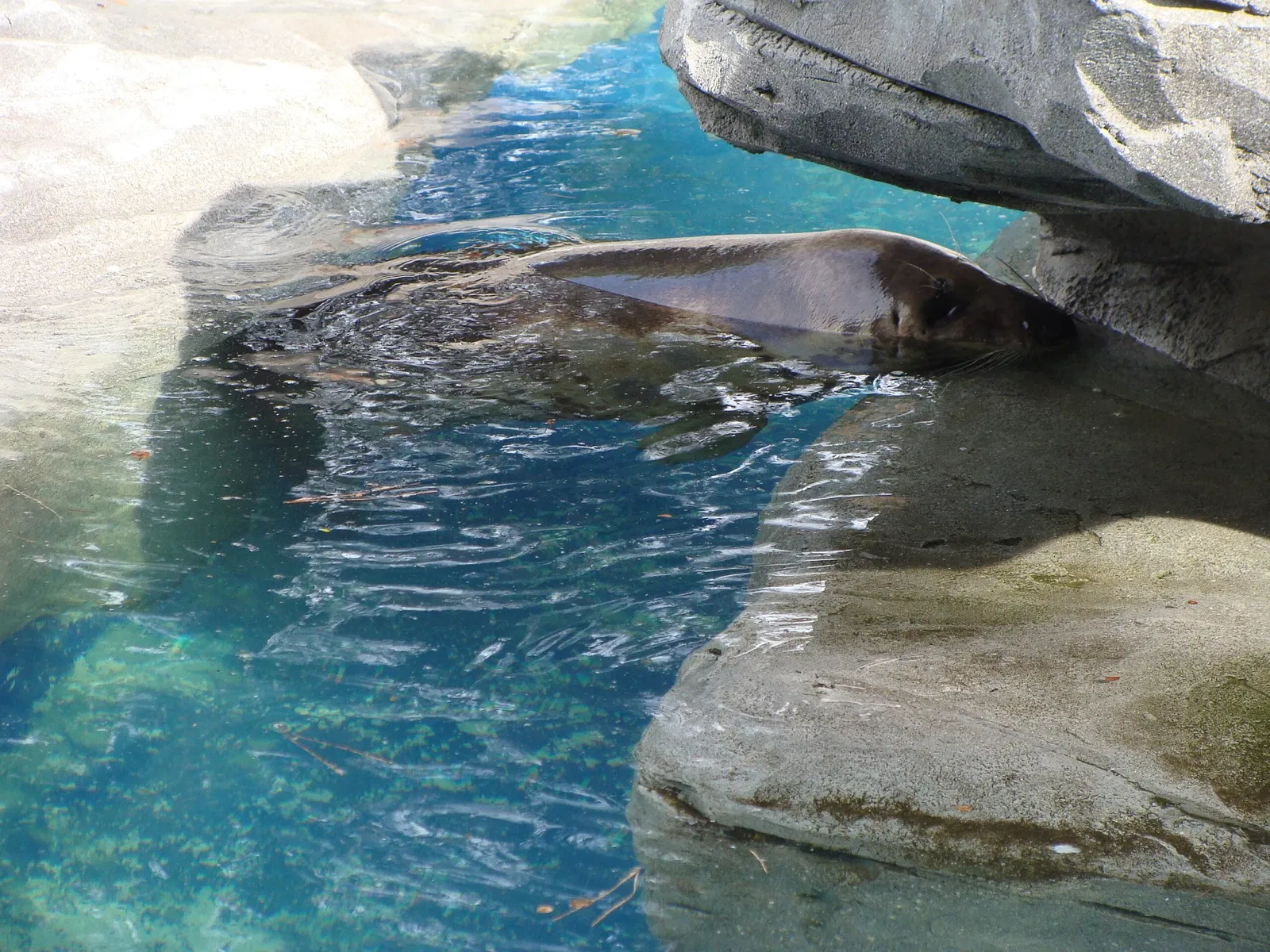 Parco zoologico di Madrid