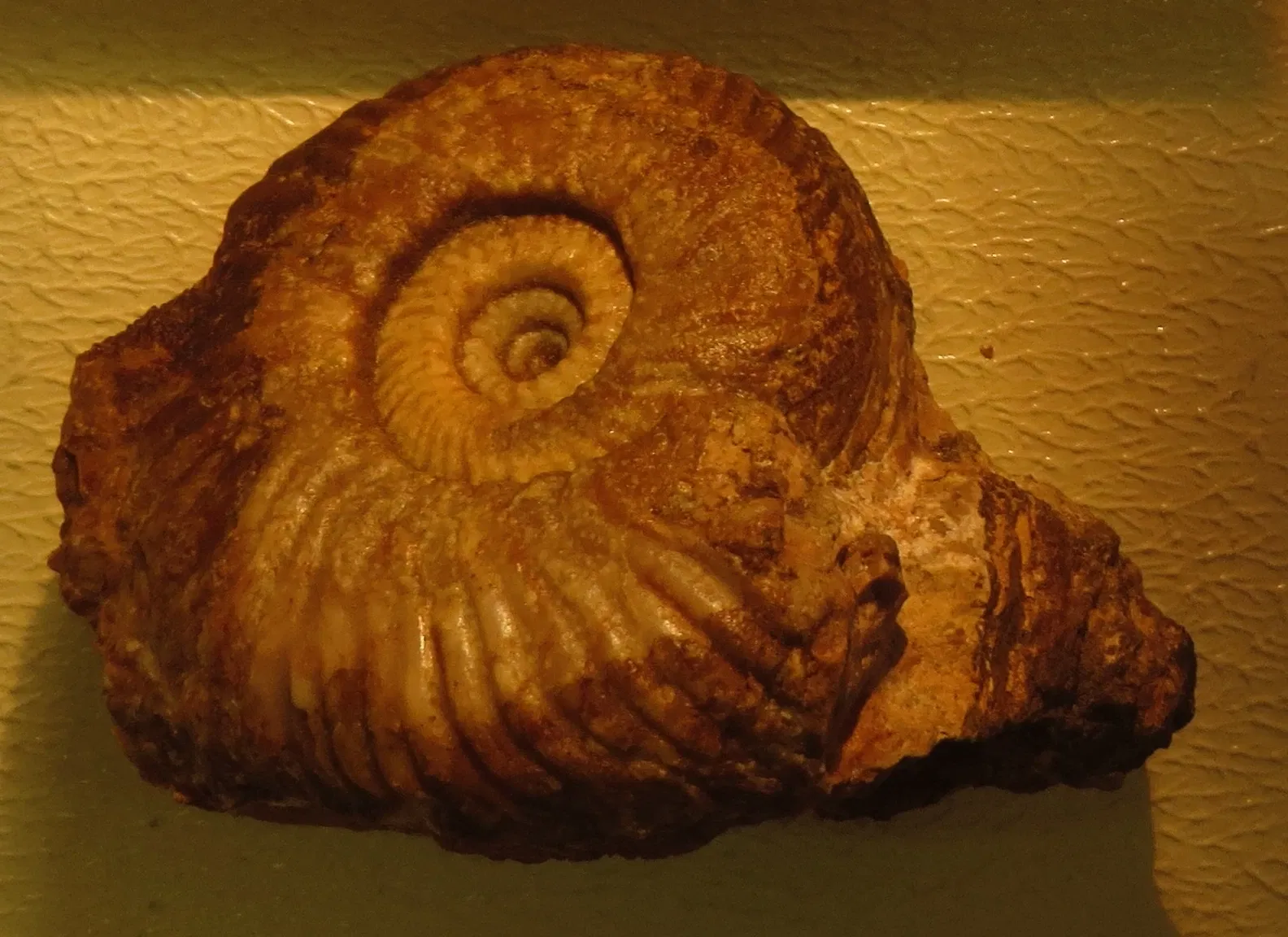 Bürgermeister-Müller-Museum