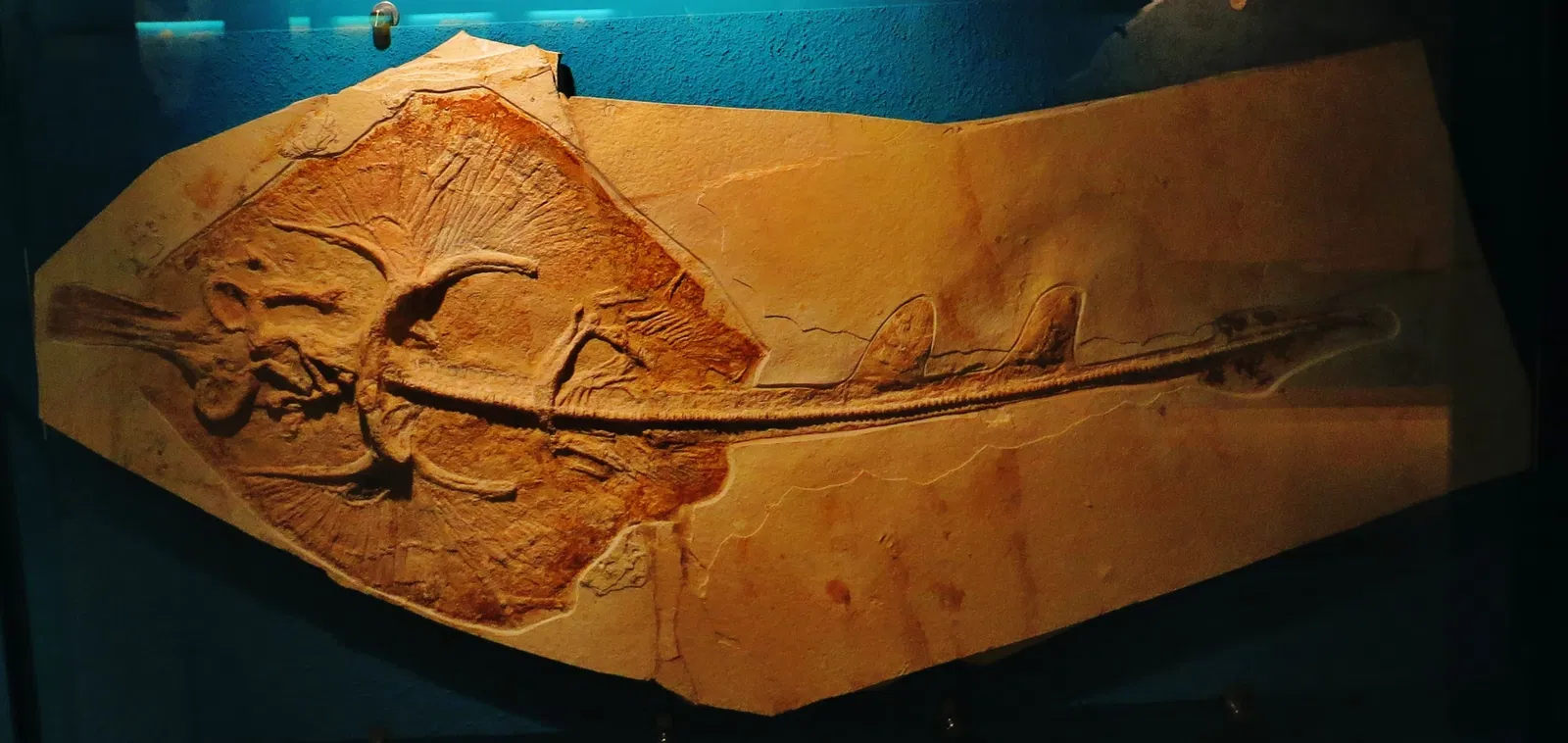 Bürgermeister-Müller-Museum