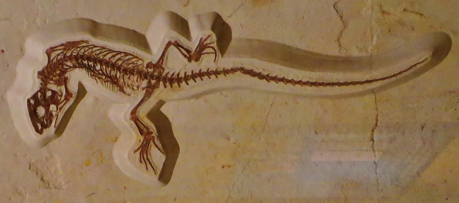 Bürgermeister-Müller-Museum