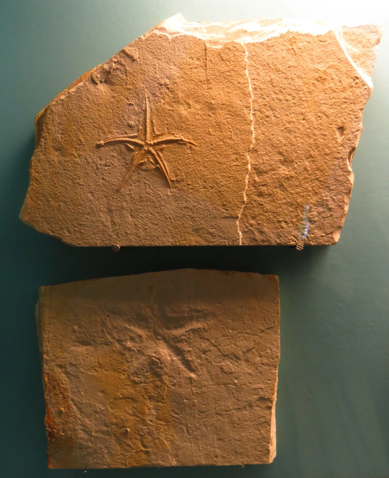 Bürgermeister-Müller-Museum