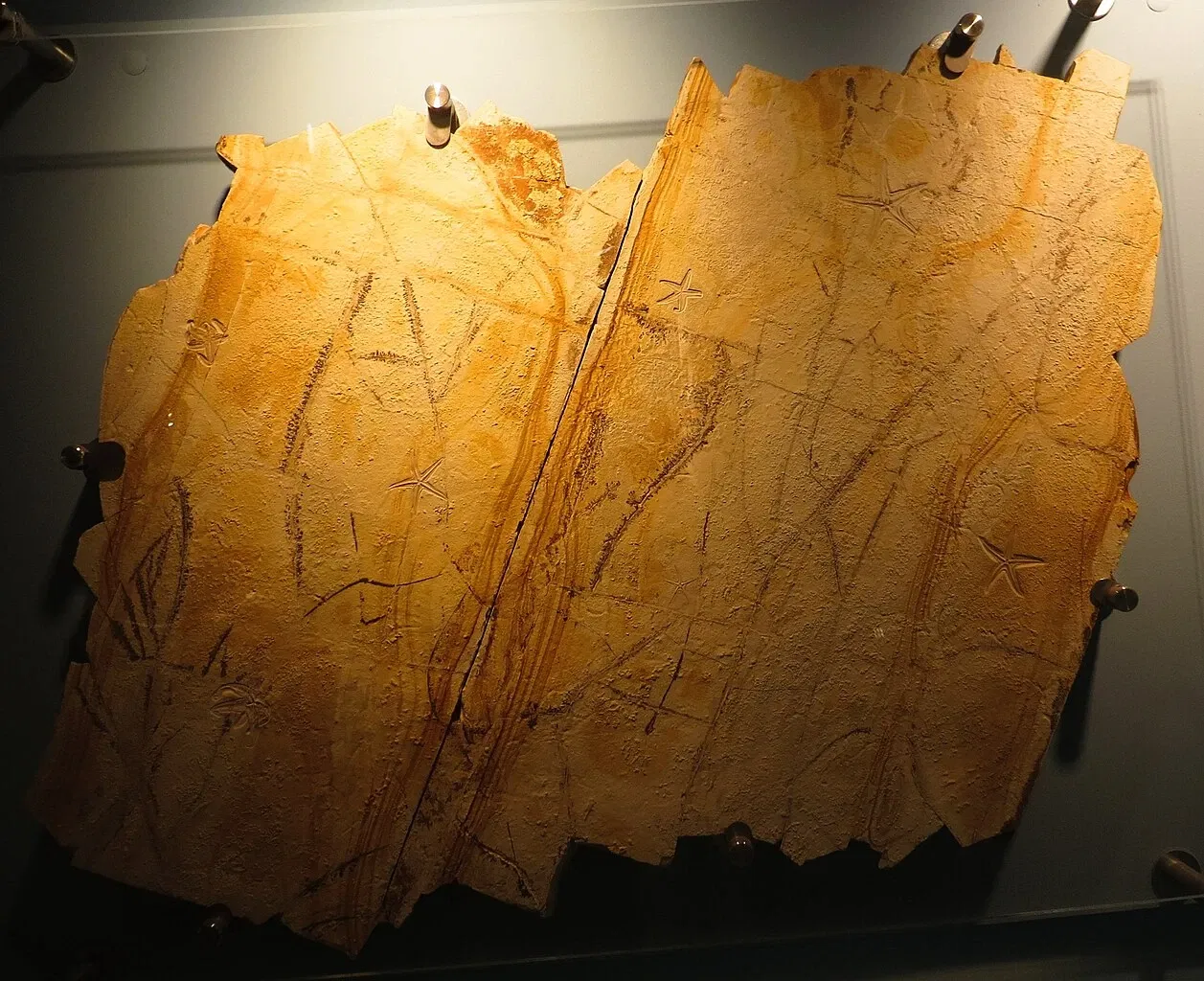 Bürgermeister-Müller-Museum