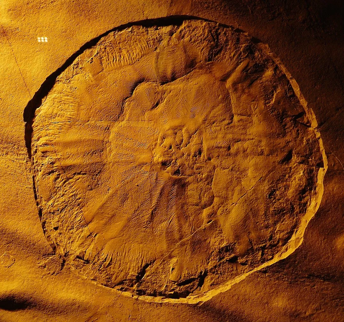 Bürgermeister-Müller-Museum