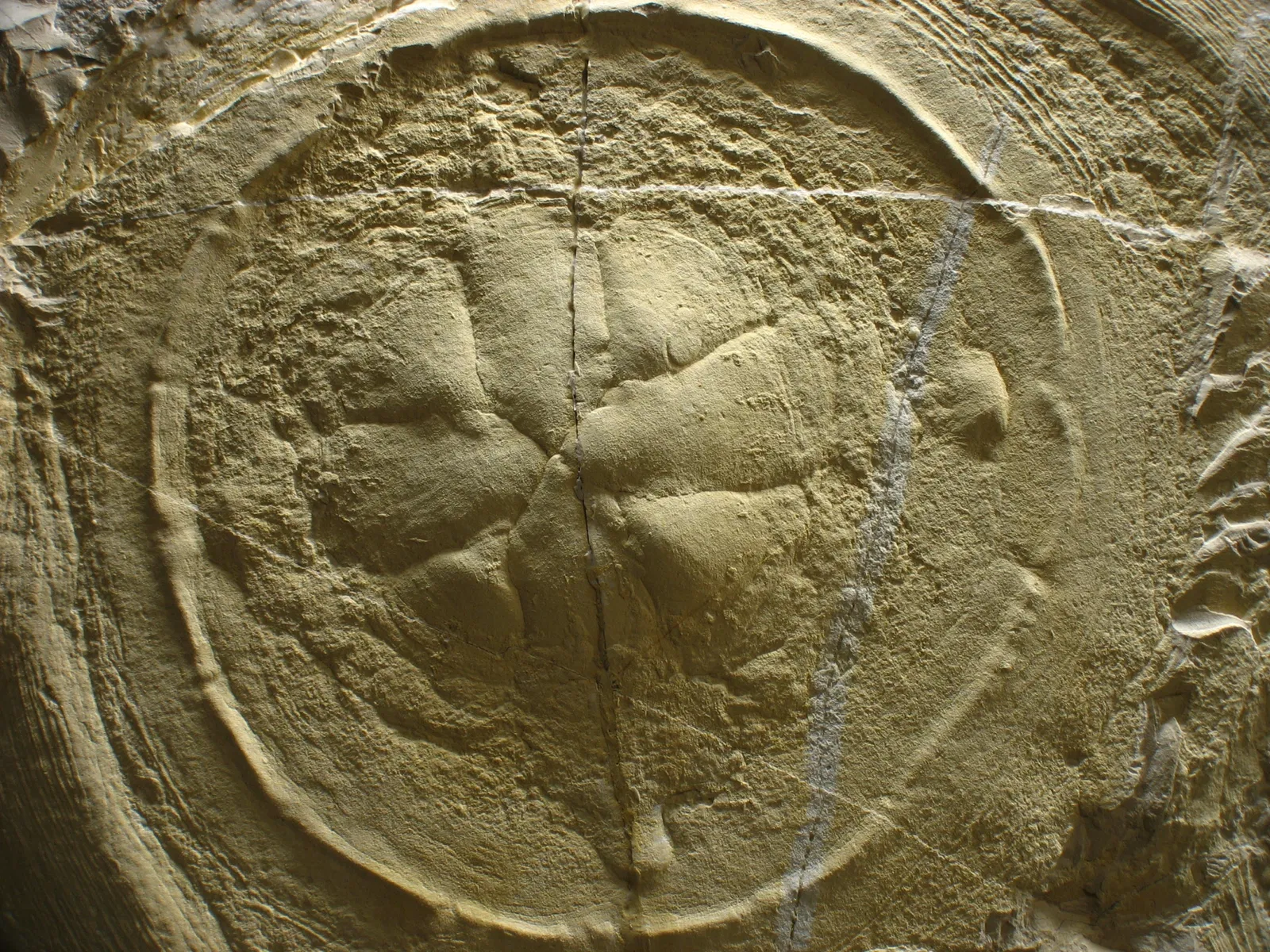 Bürgermeister-Müller-Museum