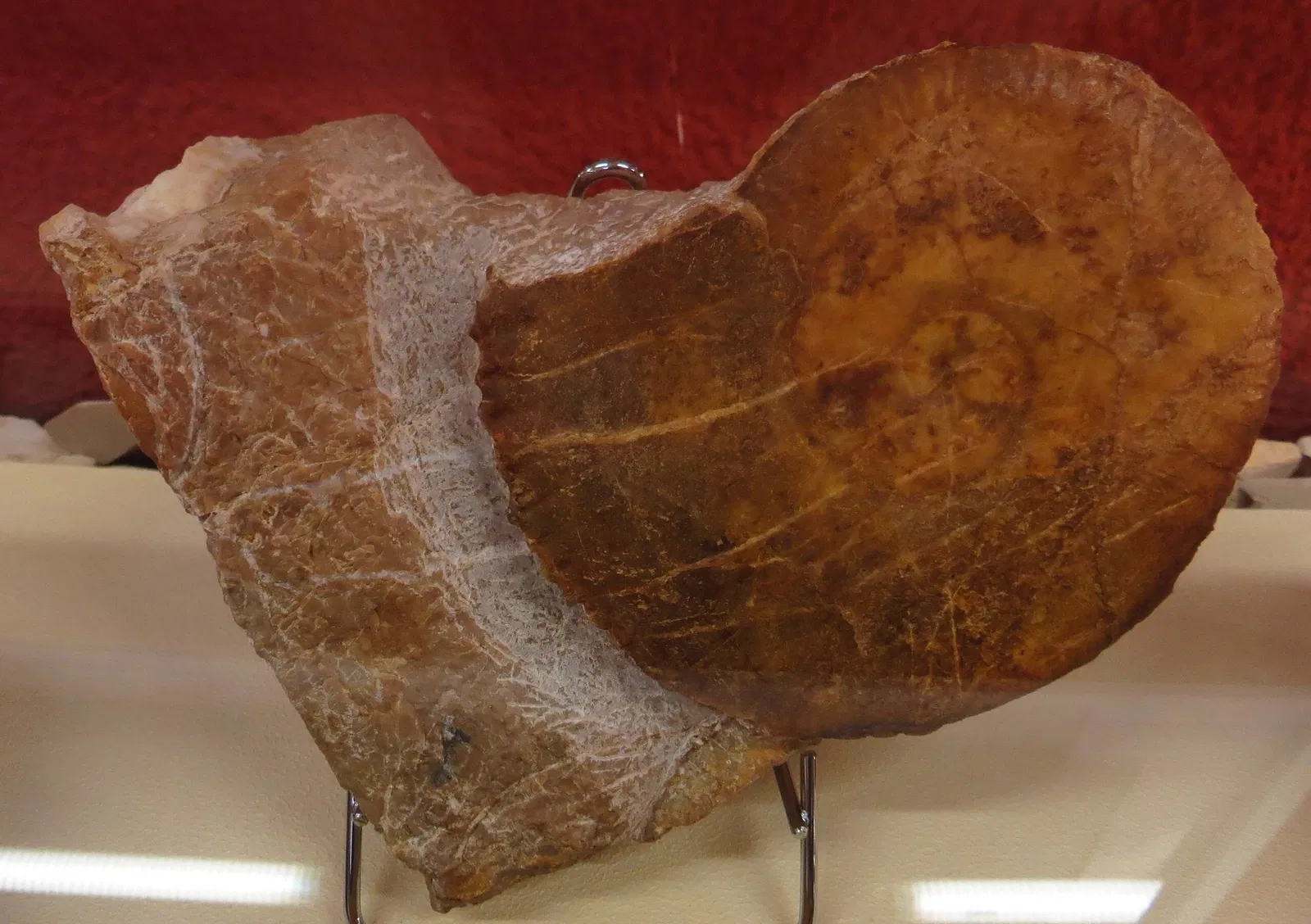 Bürgermeister-Müller-Museum