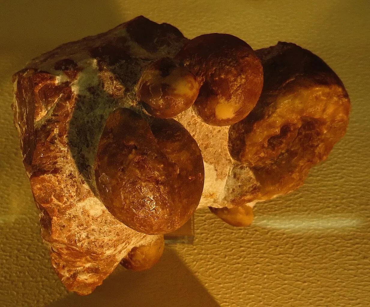 Bürgermeister-Müller-Museum