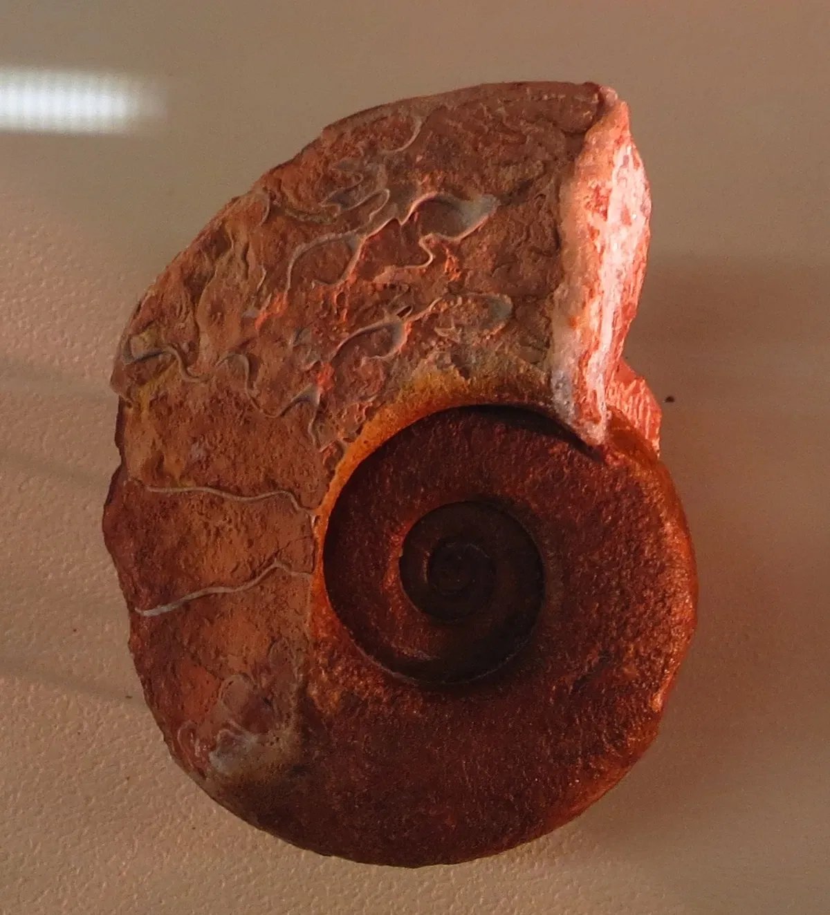 Bürgermeister-Müller-Museum