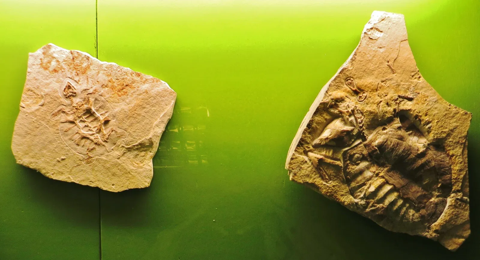 Bürgermeister-Müller-Museum