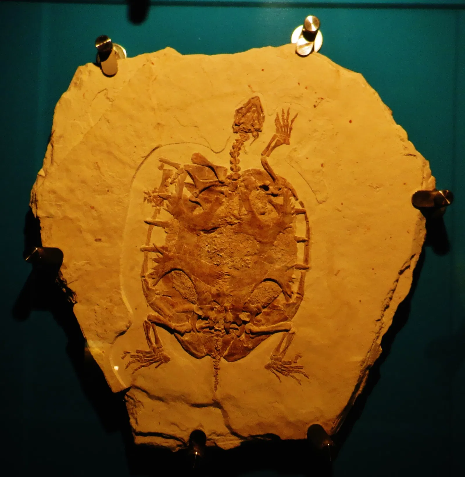 Bürgermeister-Müller-Museum