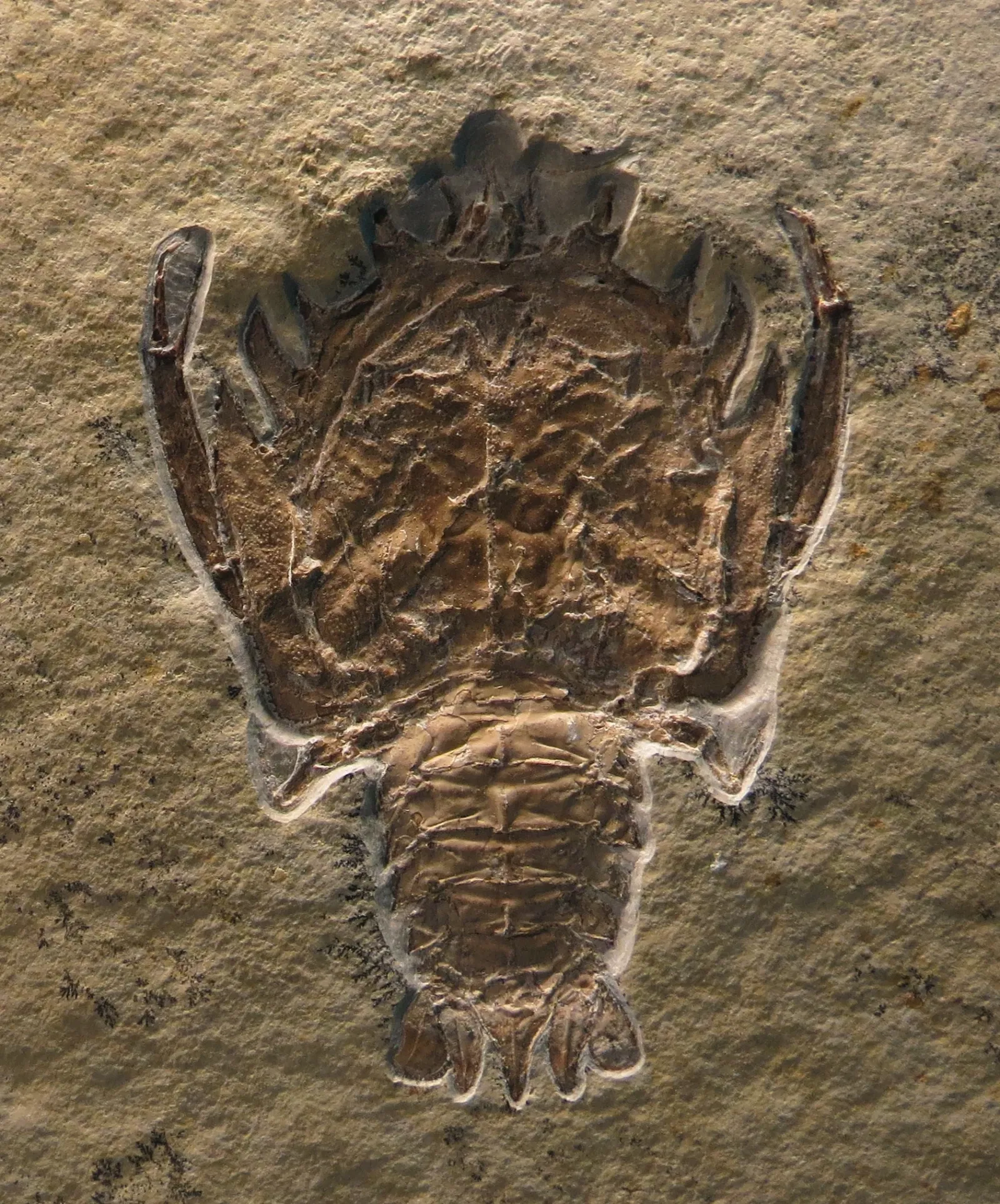 Bürgermeister-Müller-Museum