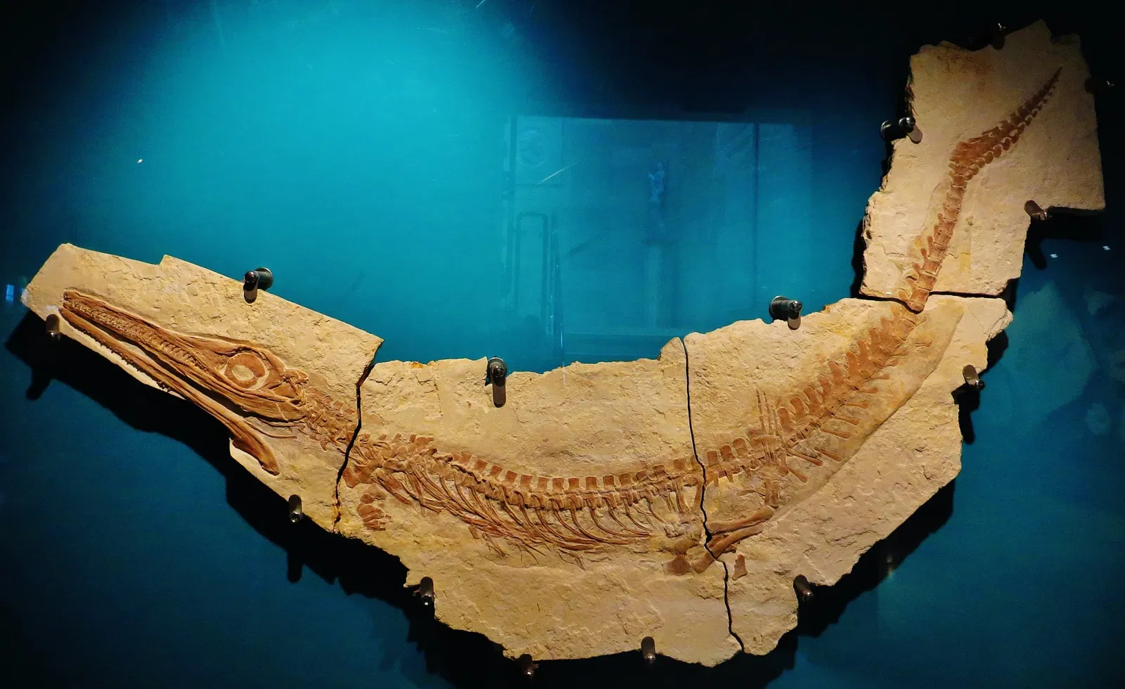 Bürgermeister-Müller-Museum