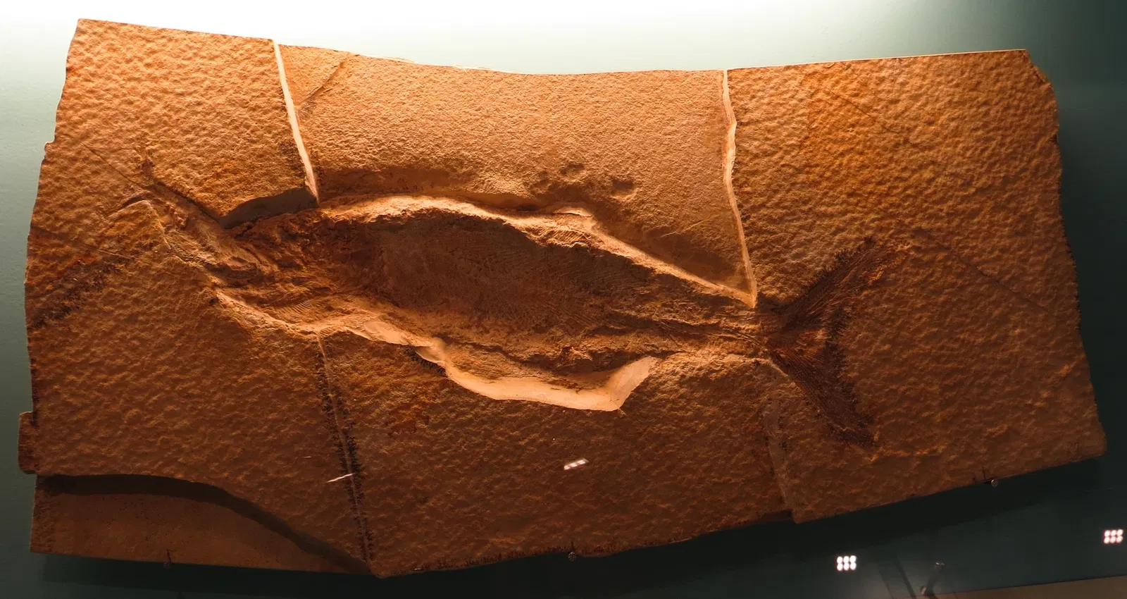 Bürgermeister-Müller-Museum