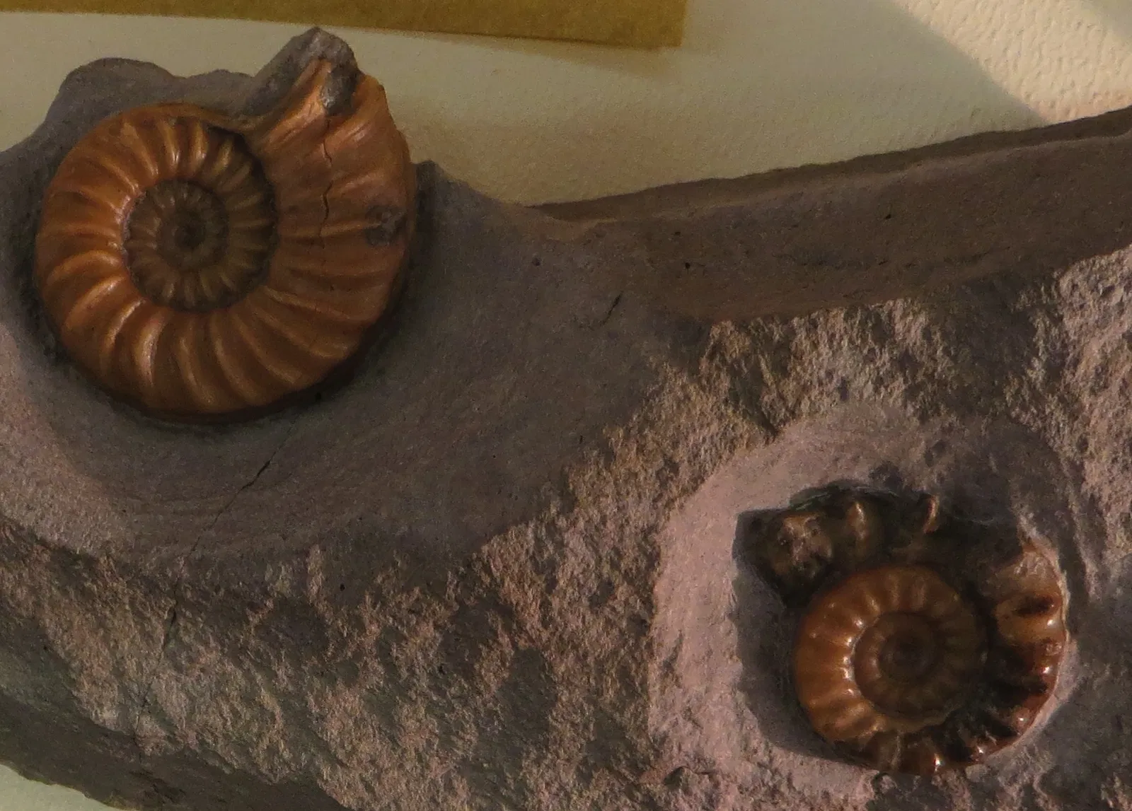 Bürgermeister-Müller-Museum