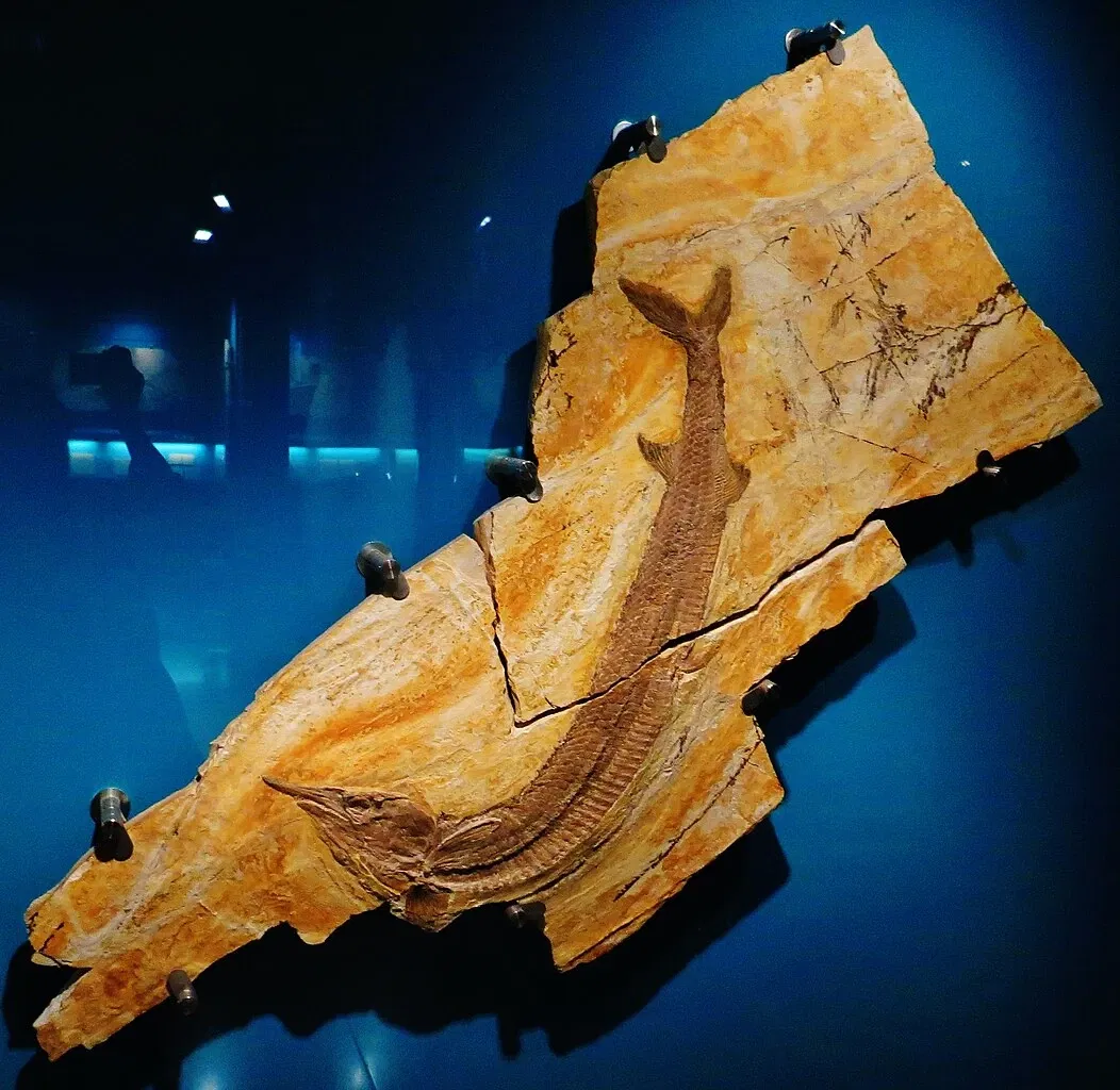 Bürgermeister-Müller-Museum