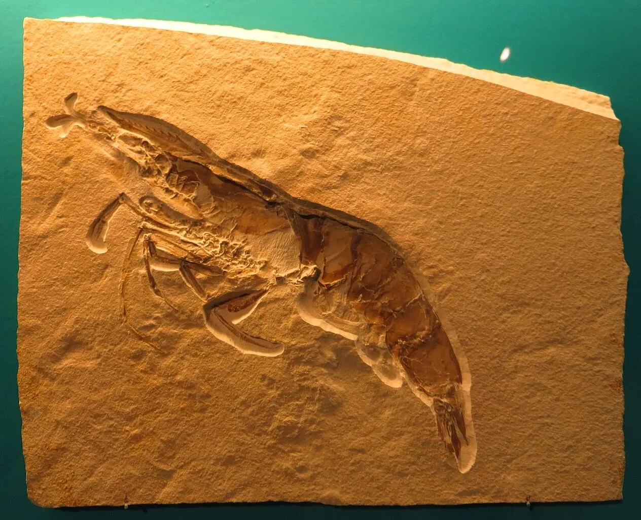 Bürgermeister-Müller-Museum