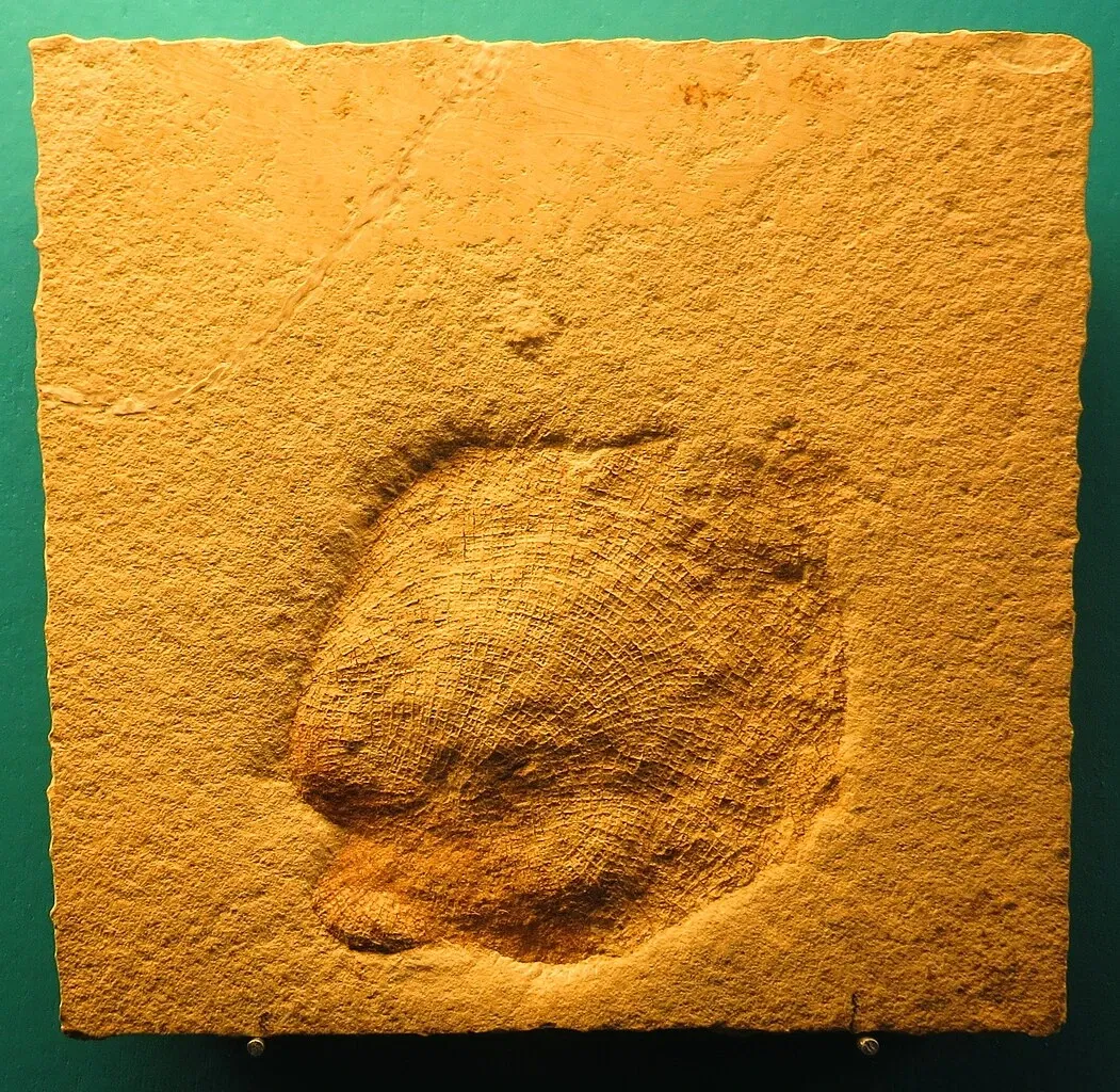 Bürgermeister-Müller-Museum