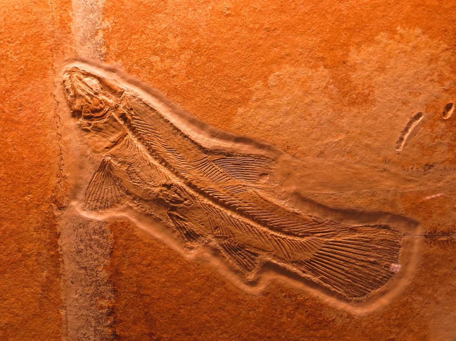 Bürgermeister-Müller-Museum