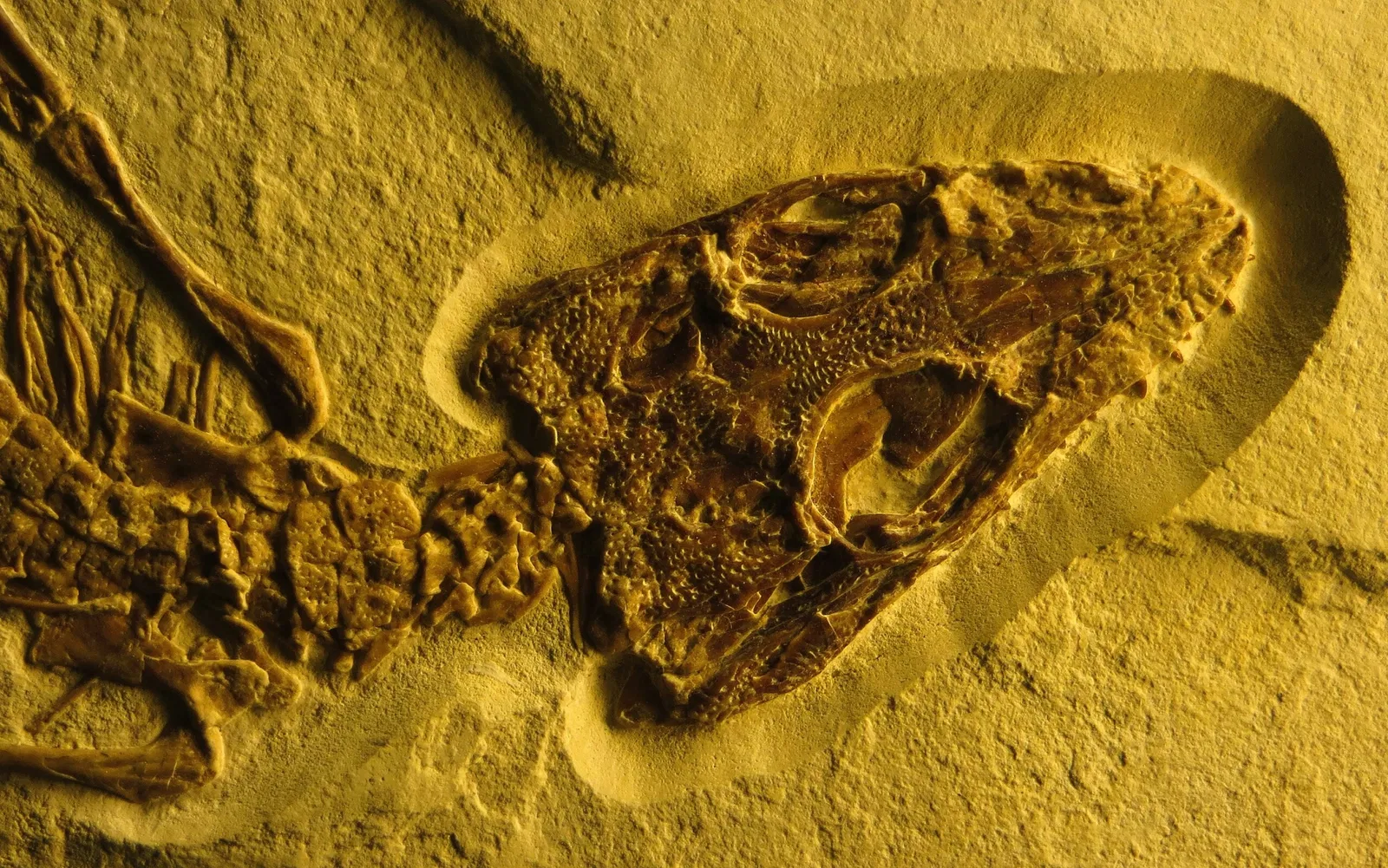 Bürgermeister-Müller-Museum