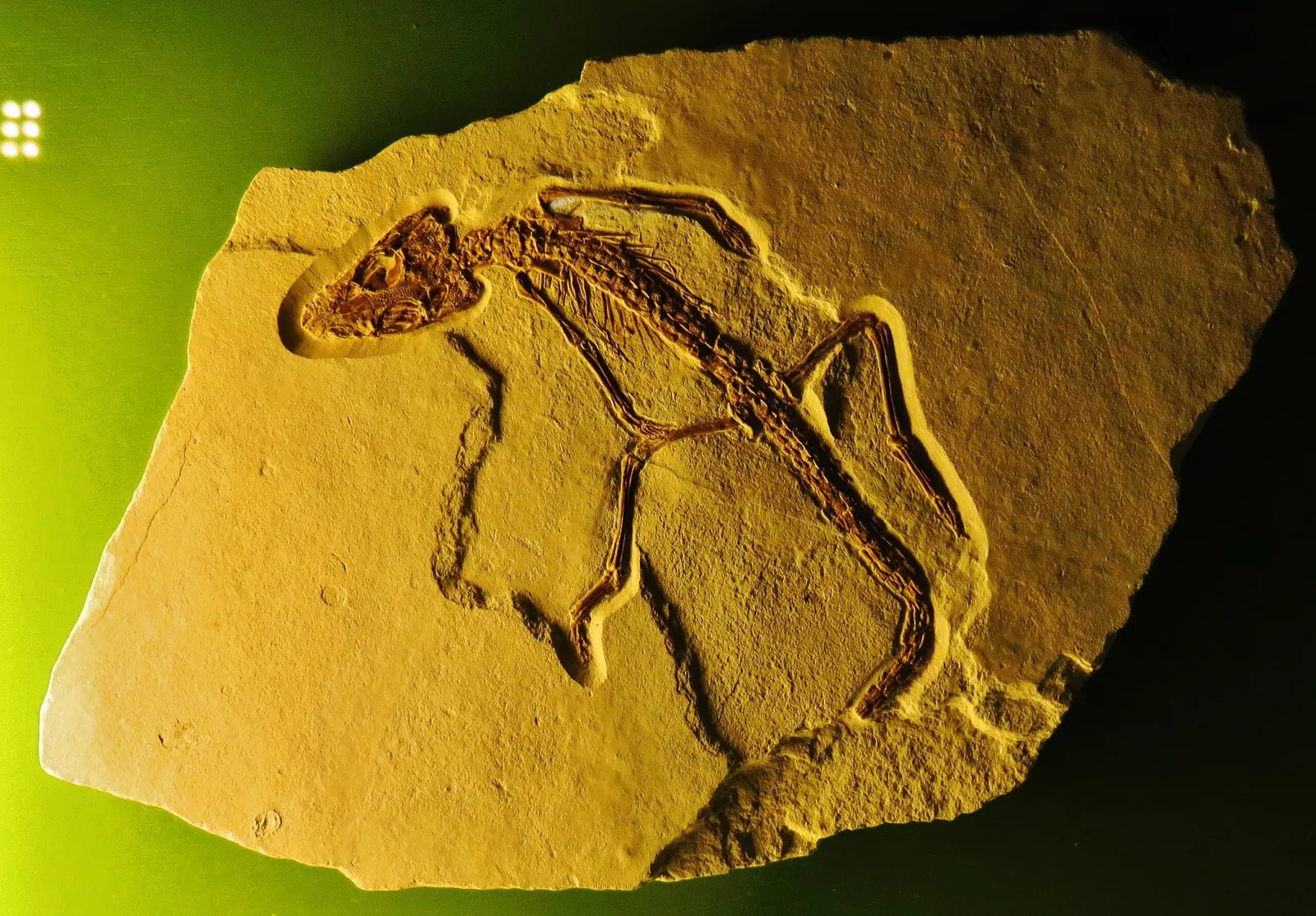 Bürgermeister-Müller-Museum