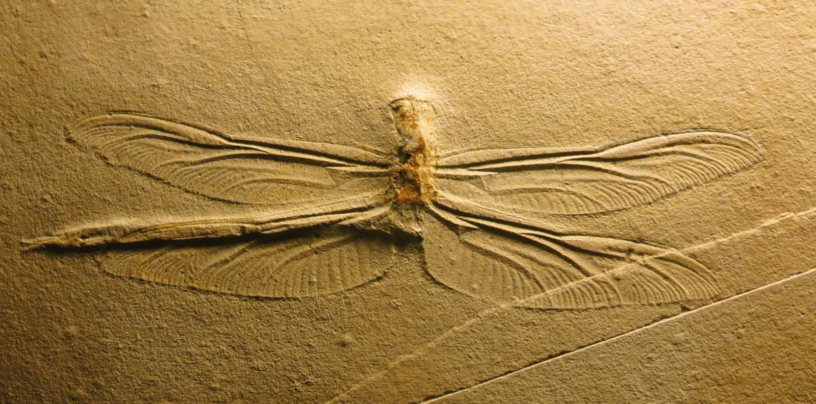 Bürgermeister-Müller-Museum