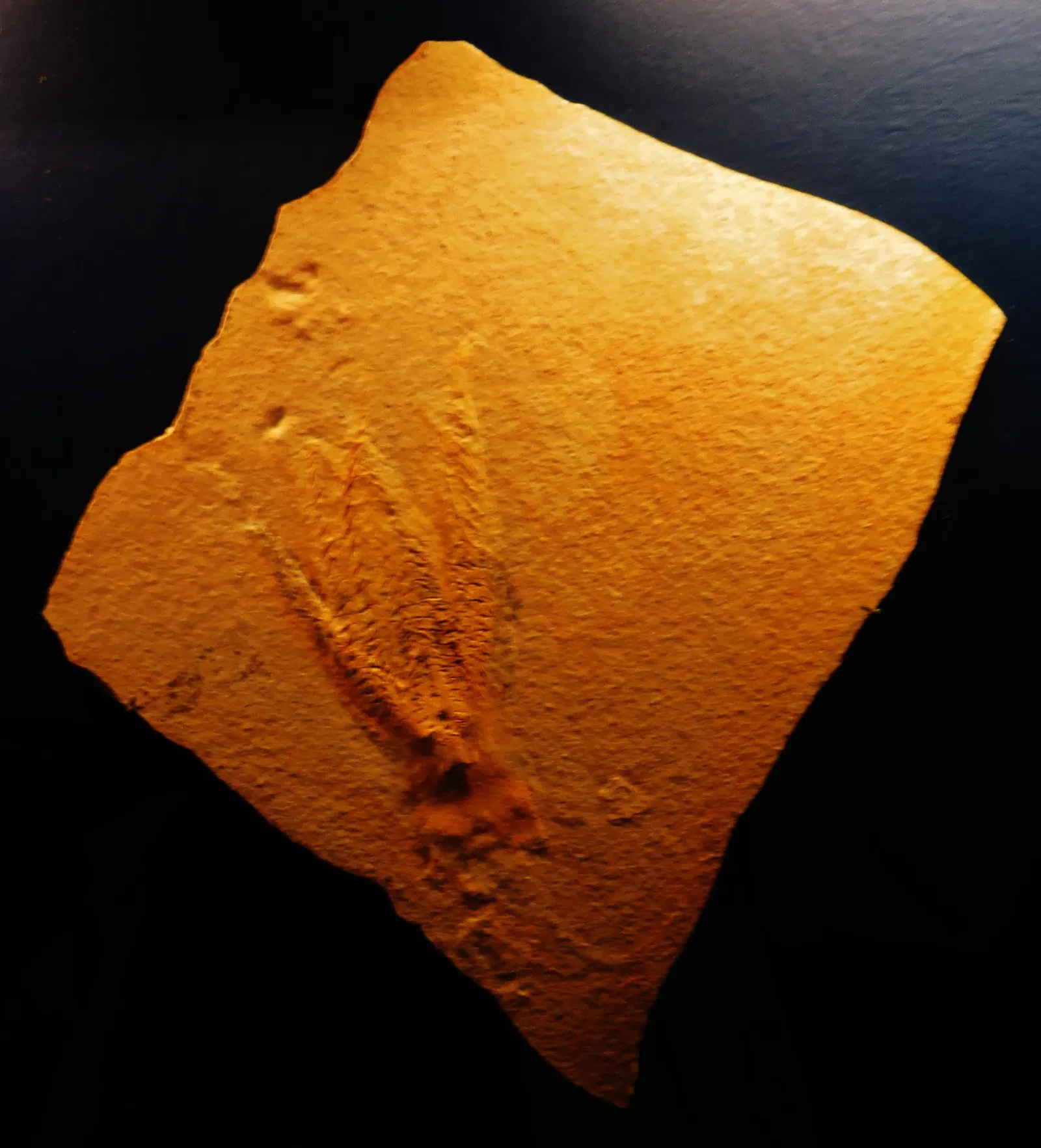 Bürgermeister-Müller-Museum