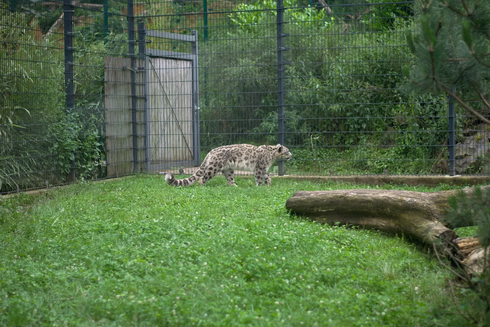 Neunkircher Zoo