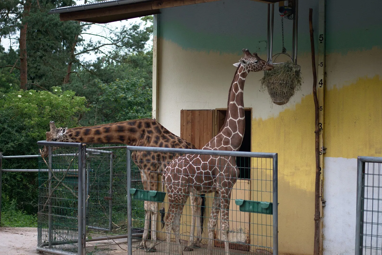 Neunkircher Zoo