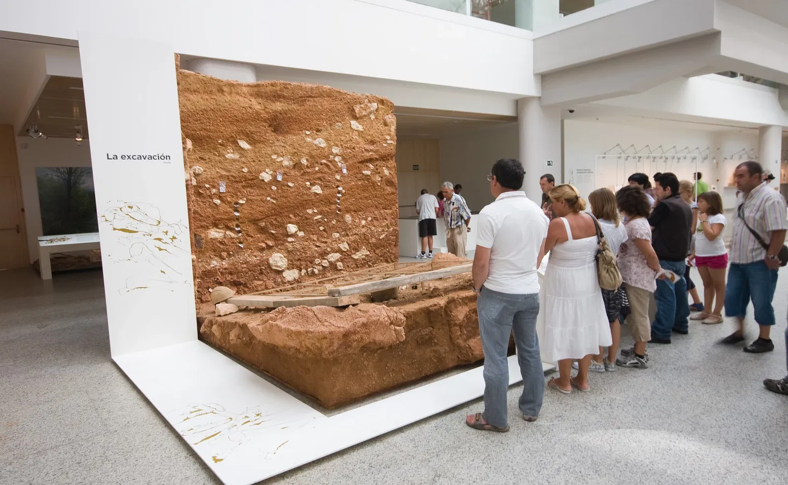 Musée de l'Évolution humaine