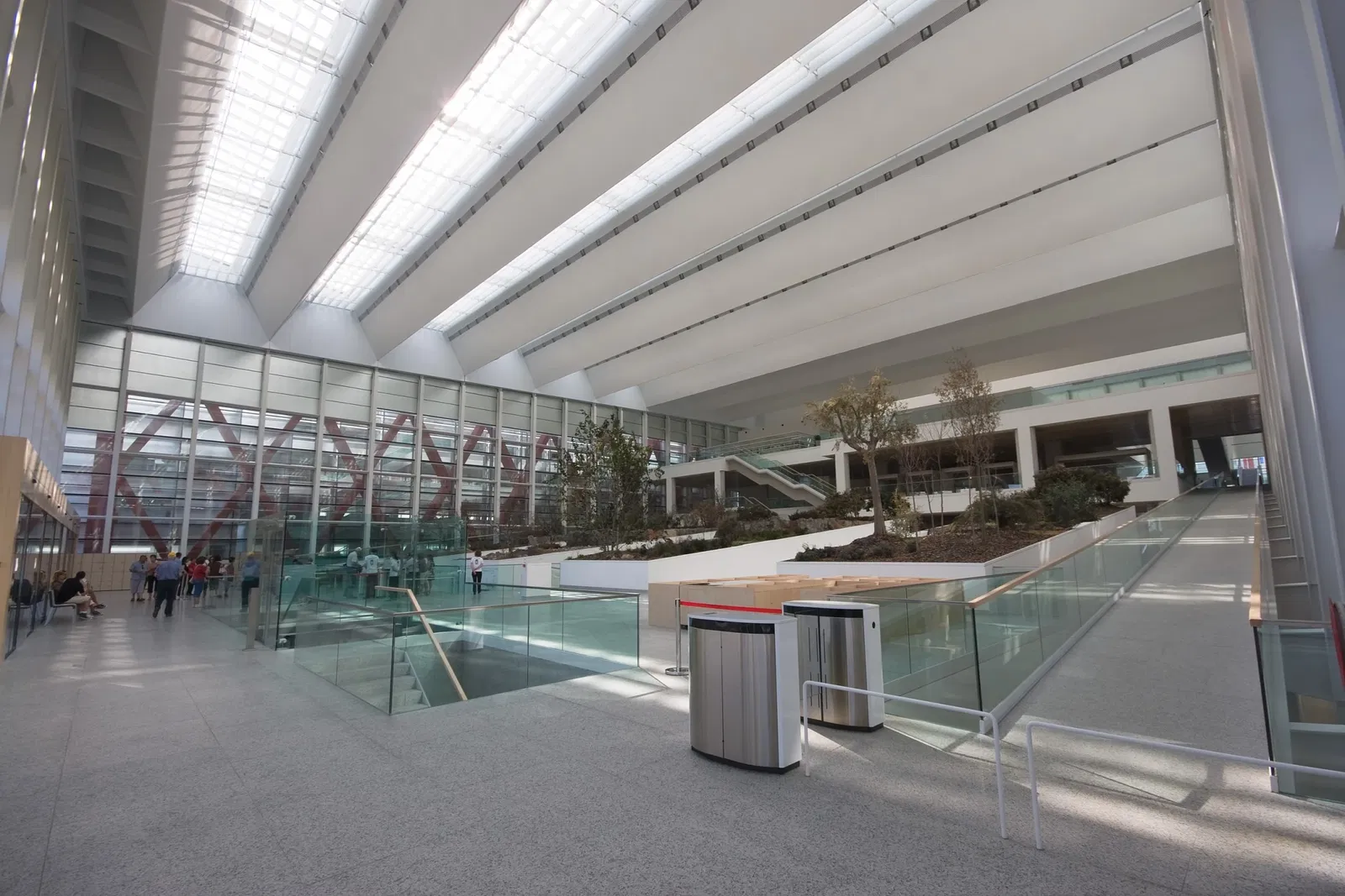 Museum of Human Evolution