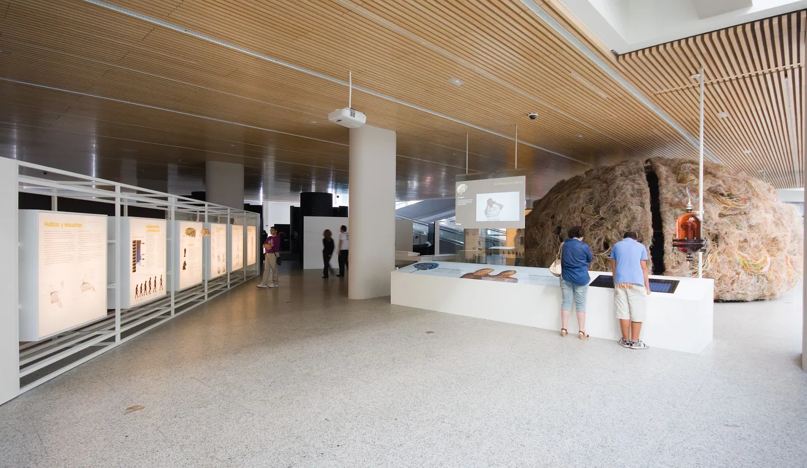 Museum of Human Evolution