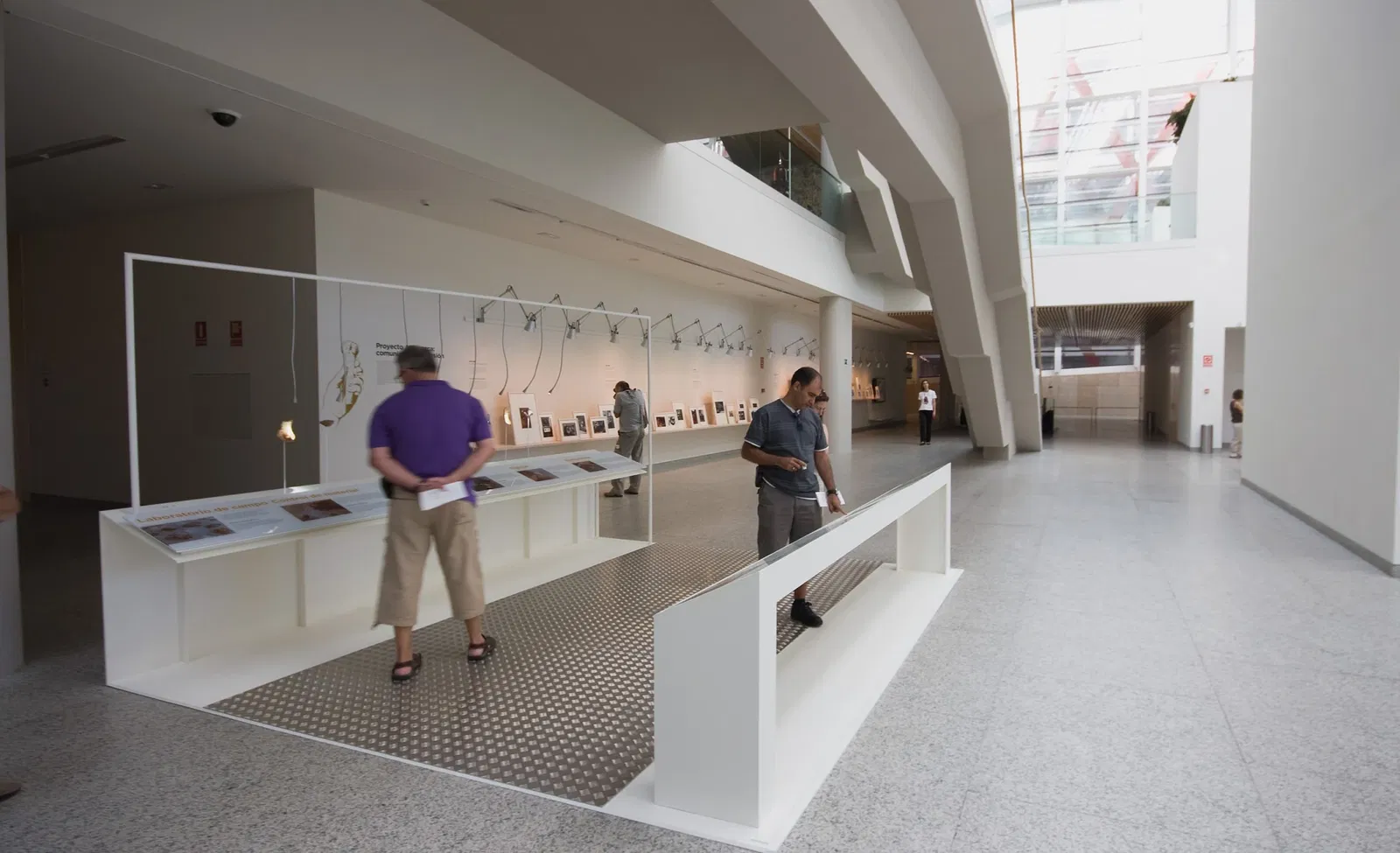 Musée de l'Évolution humaine