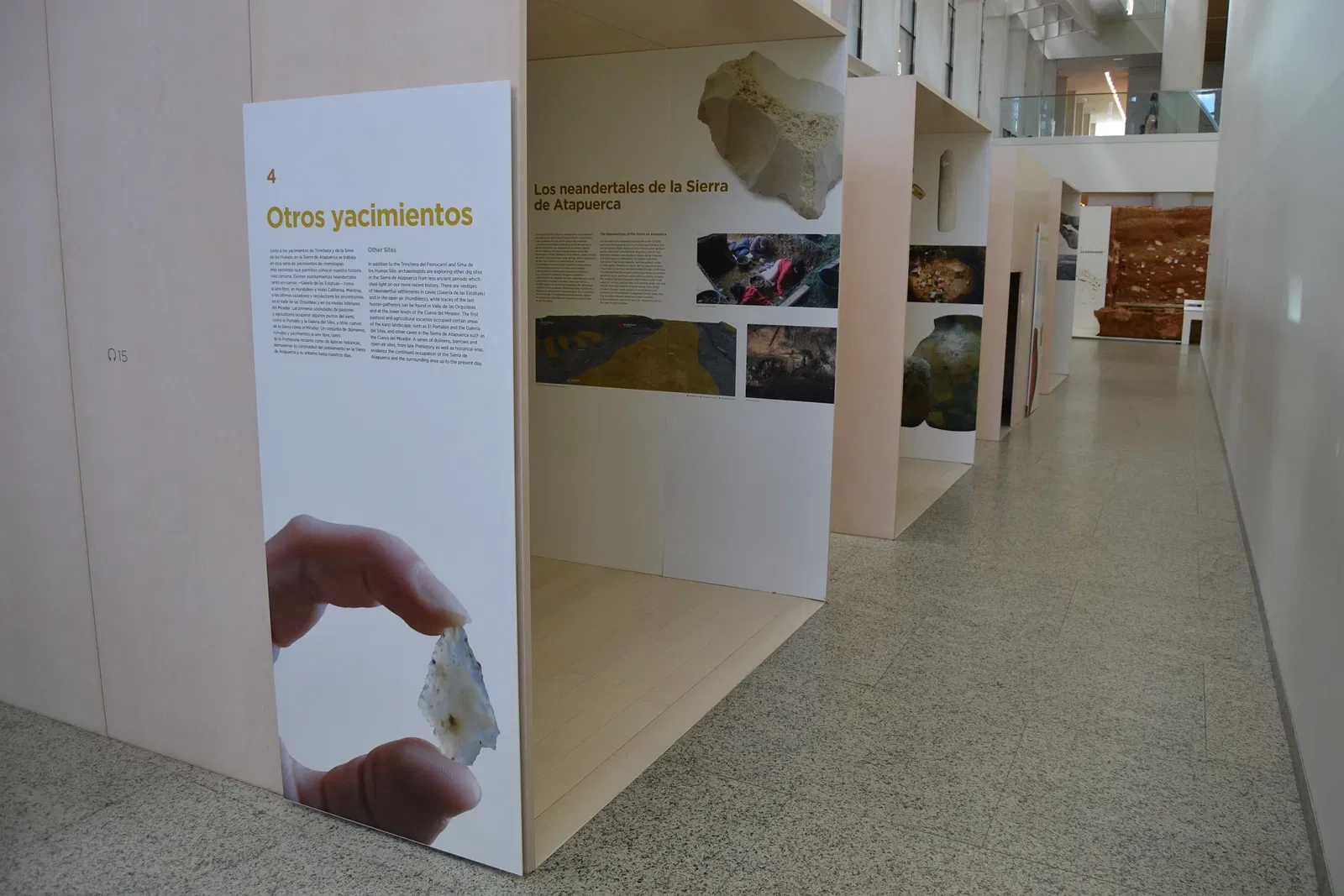 Museum of Human Evolution