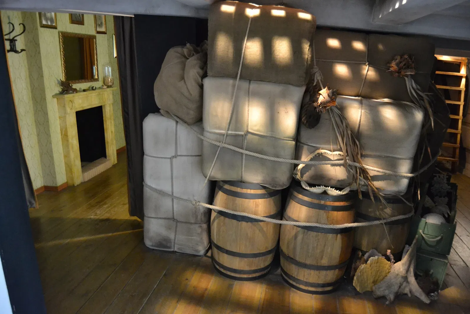 Museum of Human Evolution