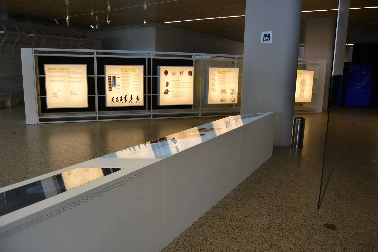 Museo de la Evolución Humana