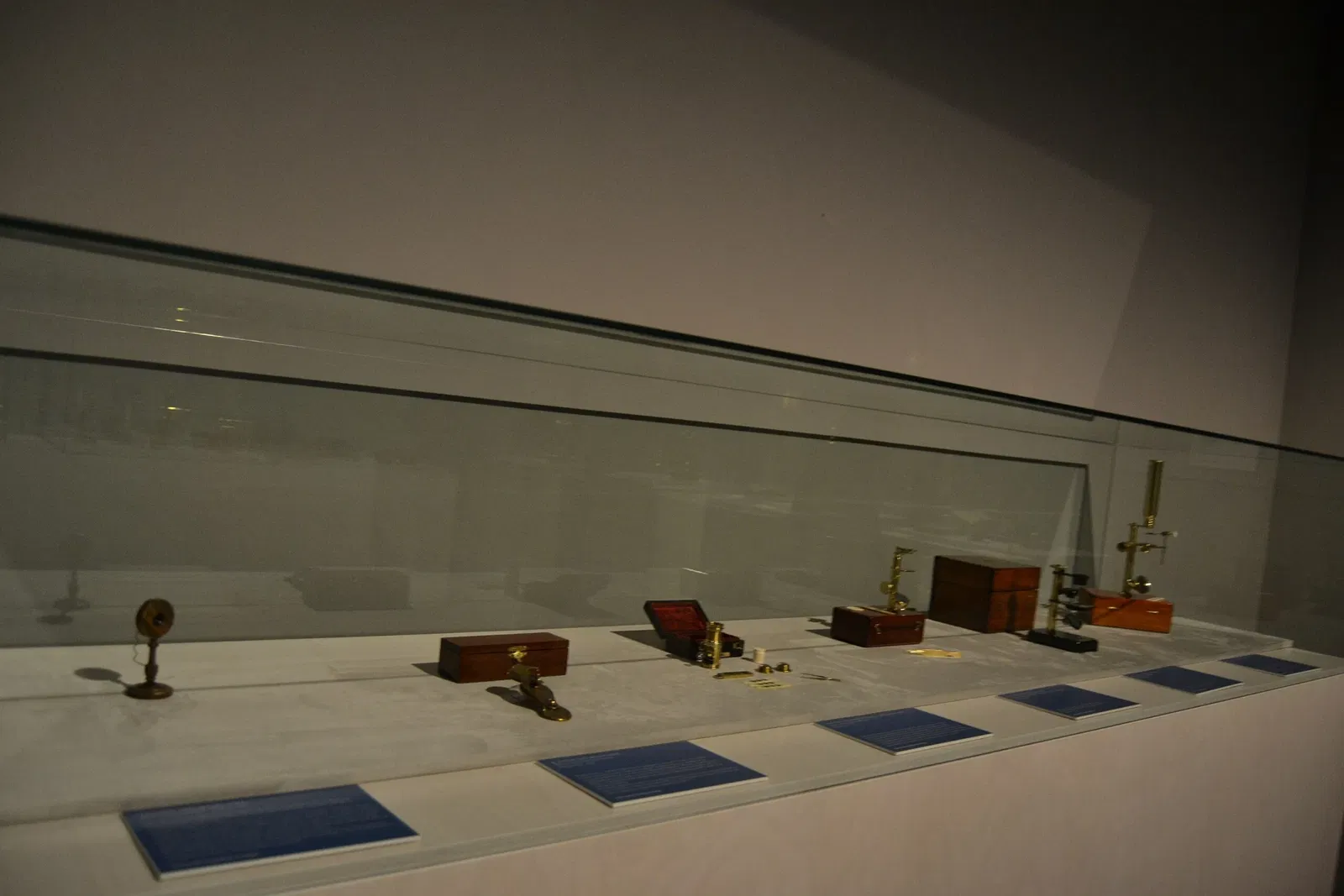 Museo de la Evolución Humana