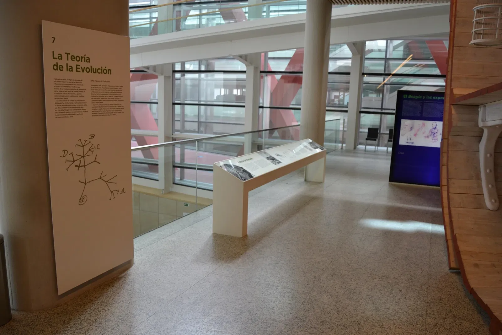 Museum of Human Evolution