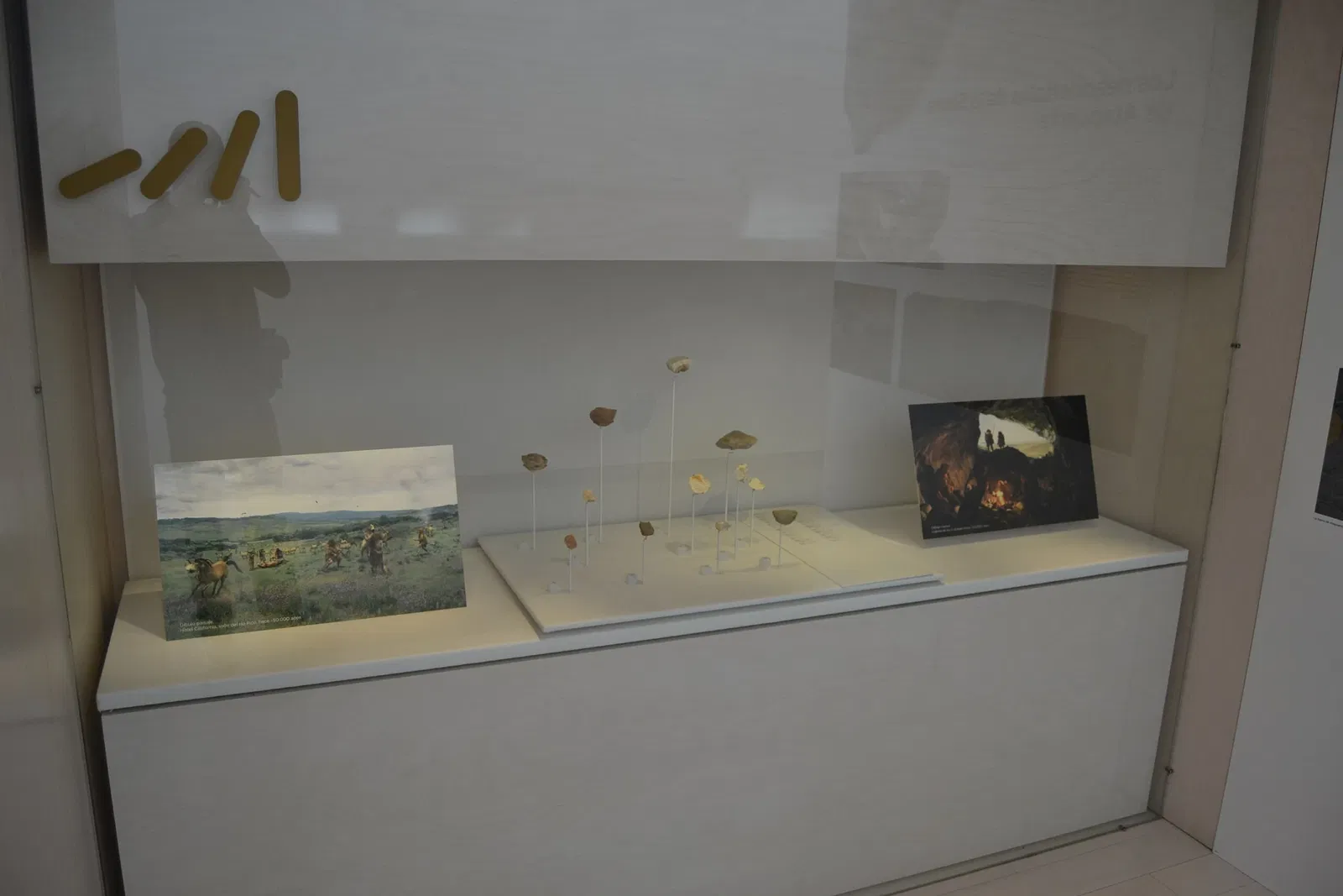 Museo de la Evolución Humana